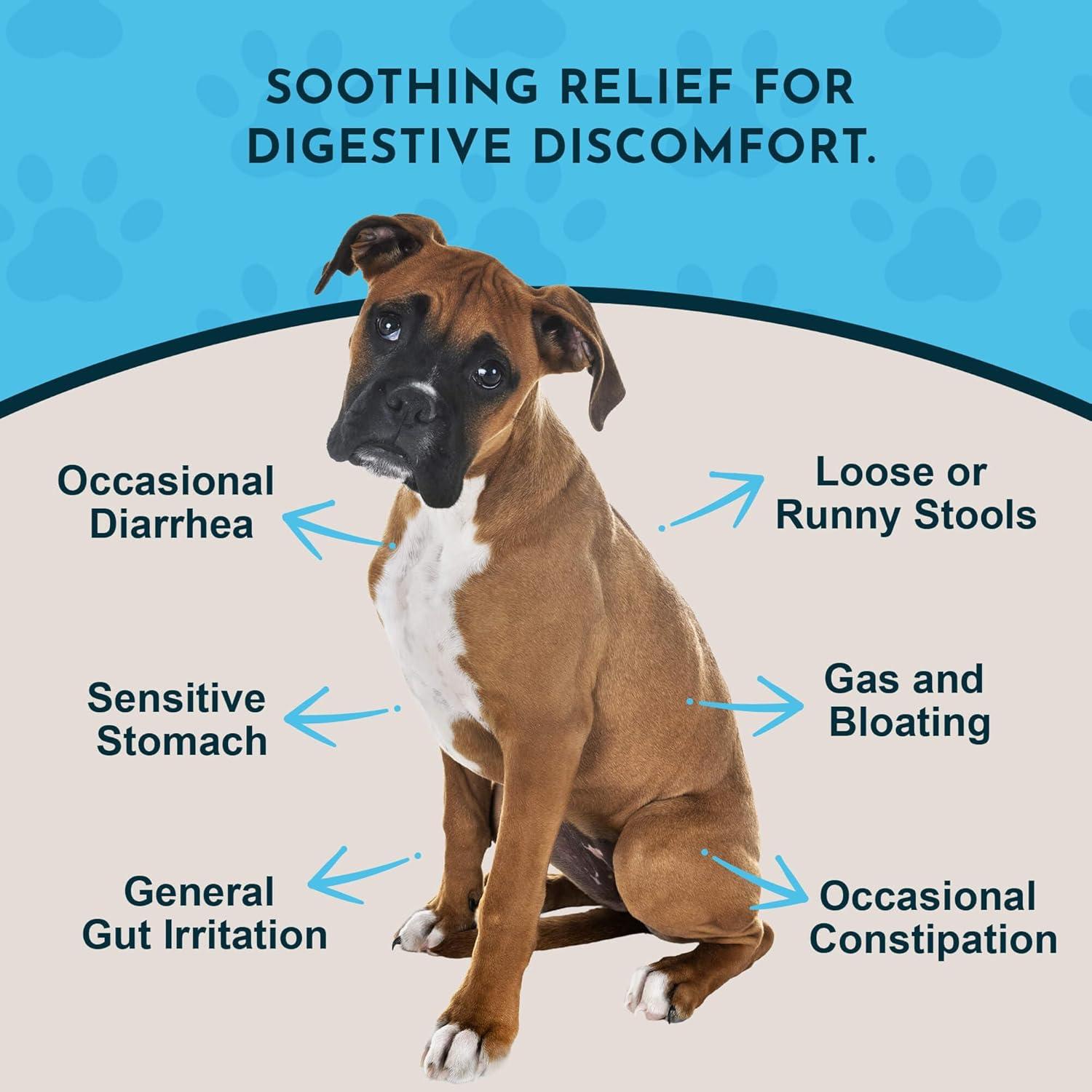 Gotas de Corteza de Olmo Resbaladizo Animal Essentials 30ml