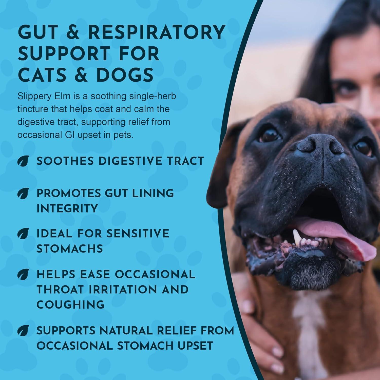 Gotas de Corteza de Olmo Resbaladizo Animal Essentials 30ml