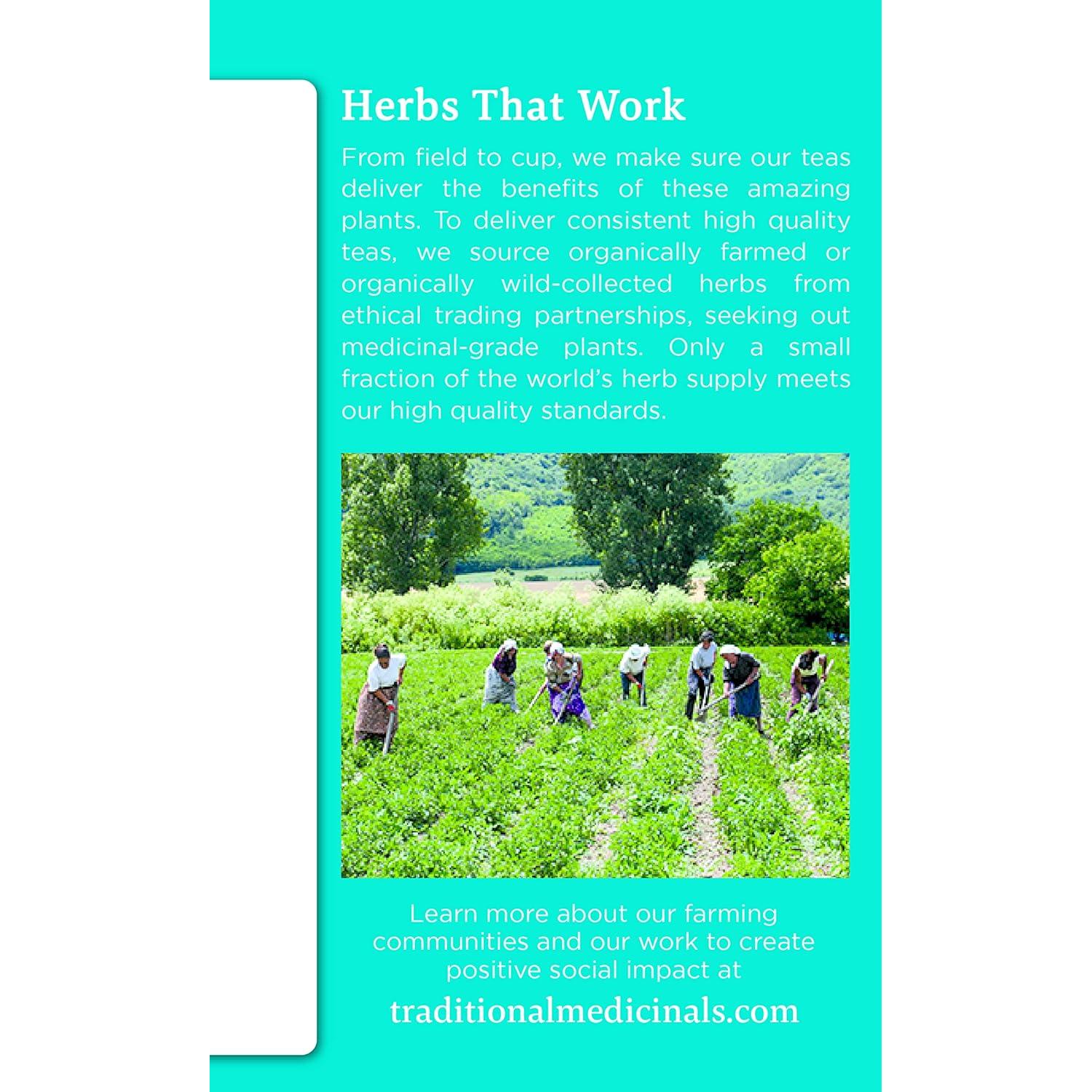 Té de hierbas Detox EveryDay Orgánico Traditional Medicinals - 48 Bolsitas