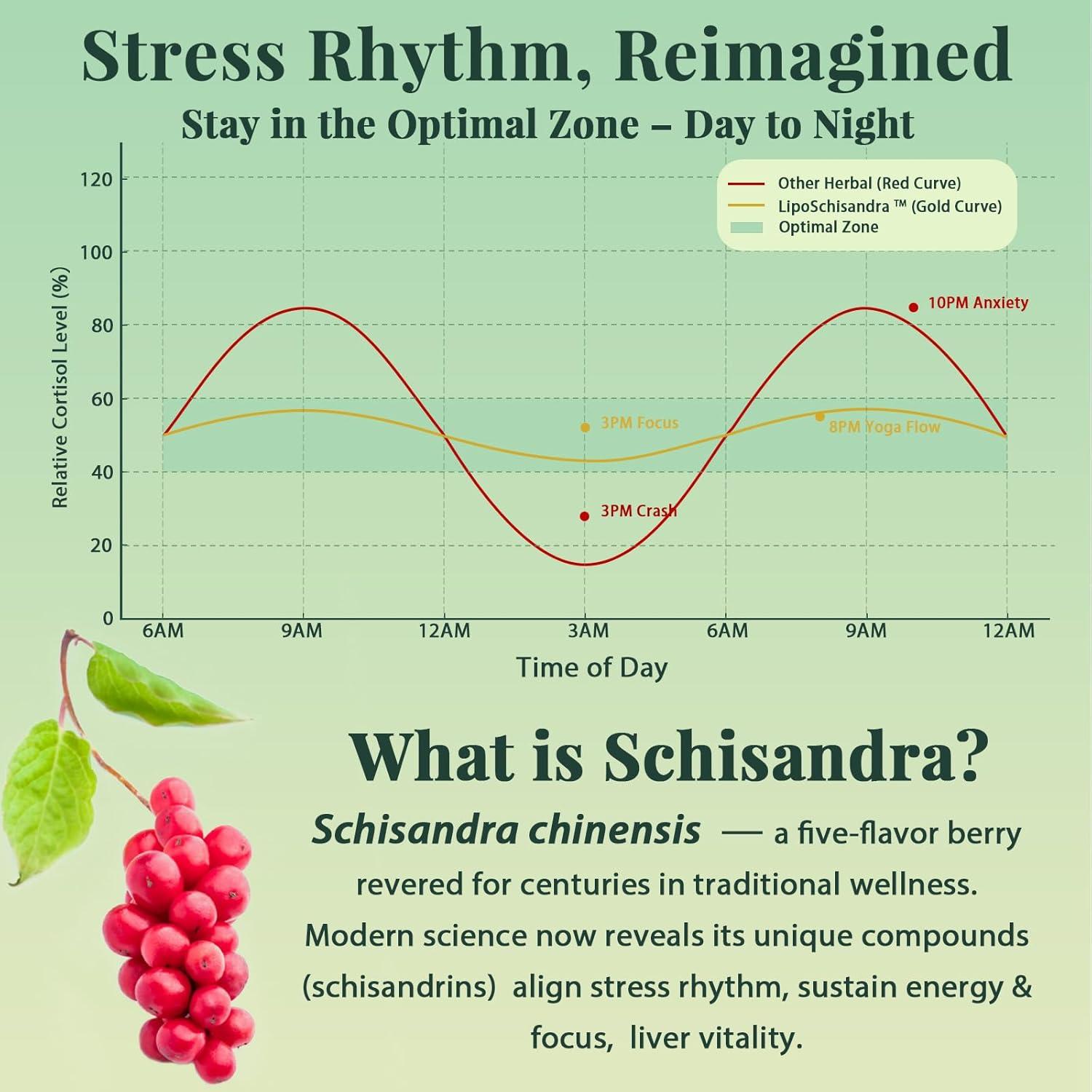 Extracto de Baya de Schisandra Liposomal 1200mg - Suplemento Adaptogénico Vegano - 120 Softgels