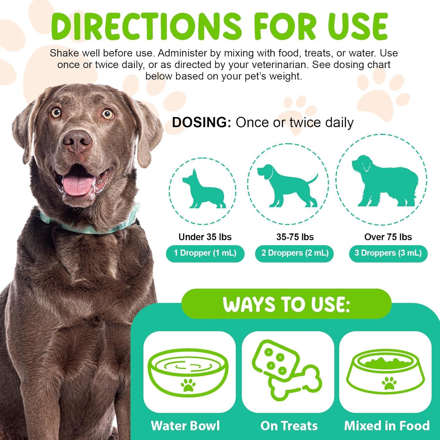 Antibióticos Naturales para Perros ZQZPZBPZ 60ml Sabor Tocino