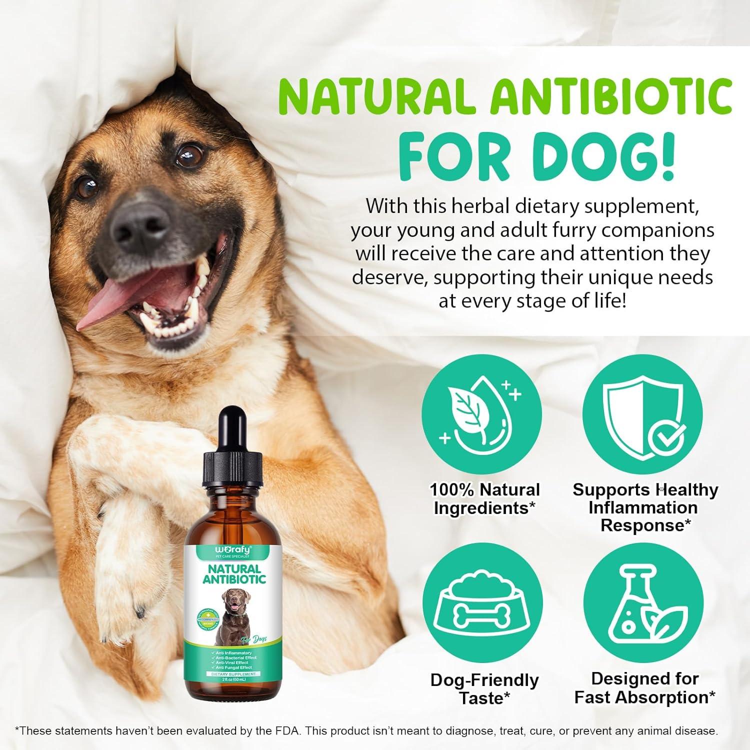 Antibióticos Naturales para Perros ZQZPZBPZ 60ml Sabor Tocino