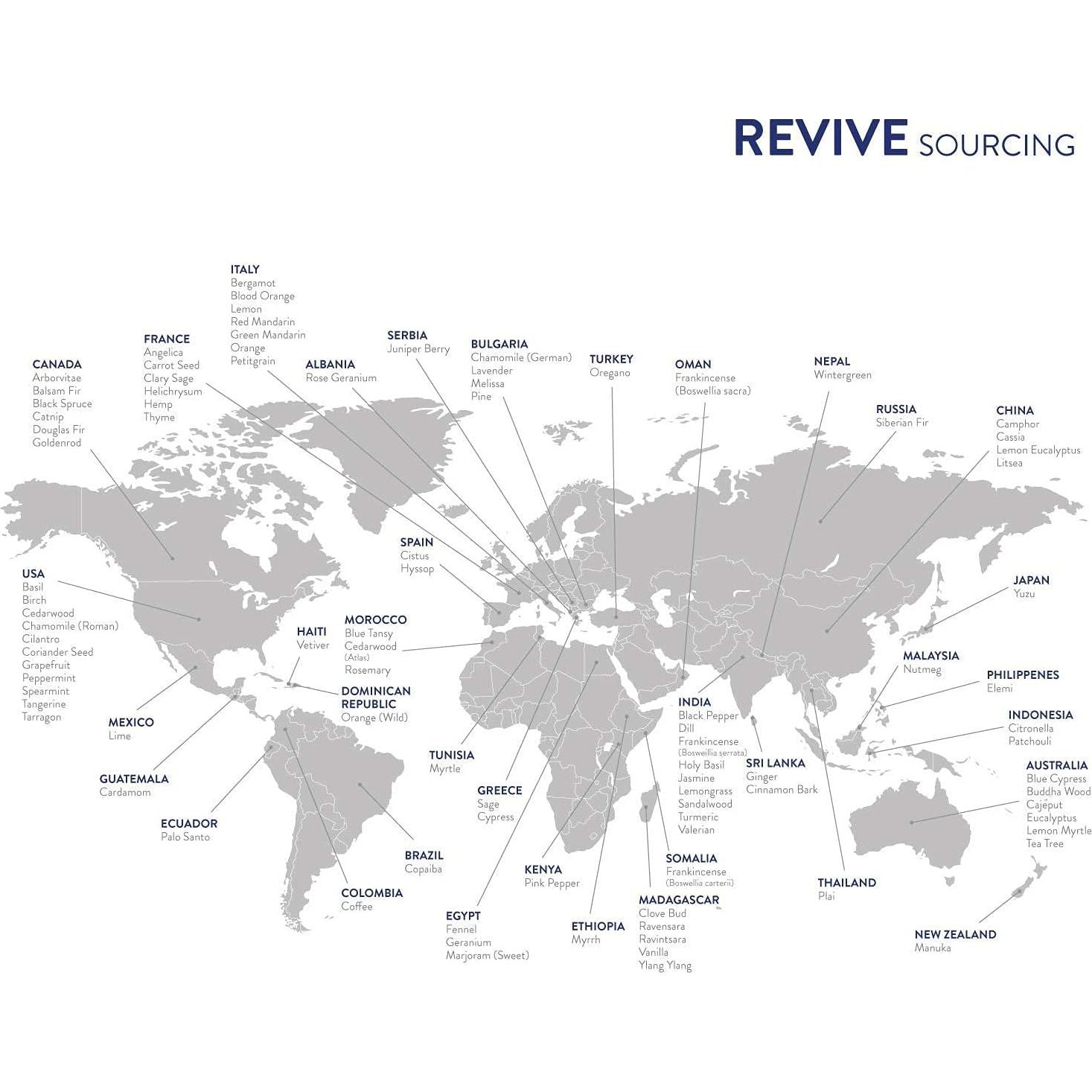 Aceite Esencial de Clavo REVIVE - 100% Puro Grado Terapéutico 42.5g