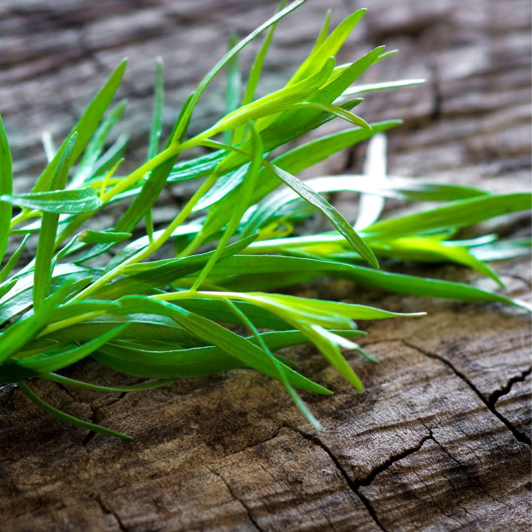 GranAroma Estragón 9.07g - Sabor a Regaliz para Cocina Francesa