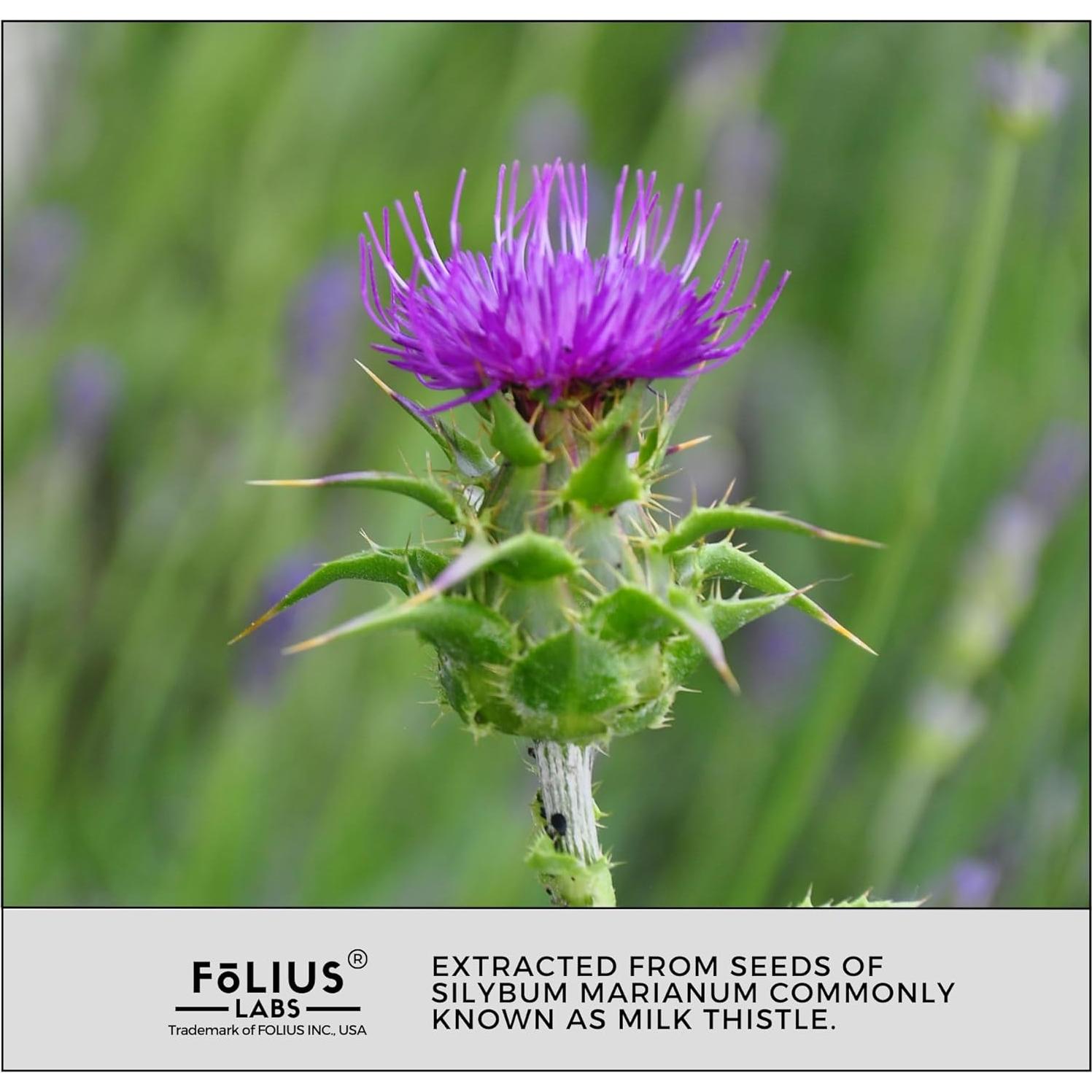 Extracto de Cardo Mariano FOLIUS LABS 300mg - 80% Silimarina - Suplemento Detox