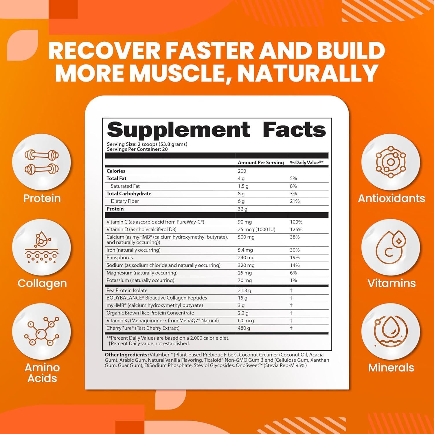 Batido de Recuperación Total SaltWrap 1.08 kg Chocolate