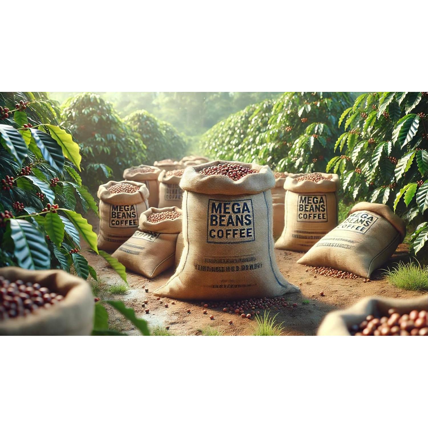 Granos de Café Verde Sin Tostar G&D 1.36 kg Colombia Supremo