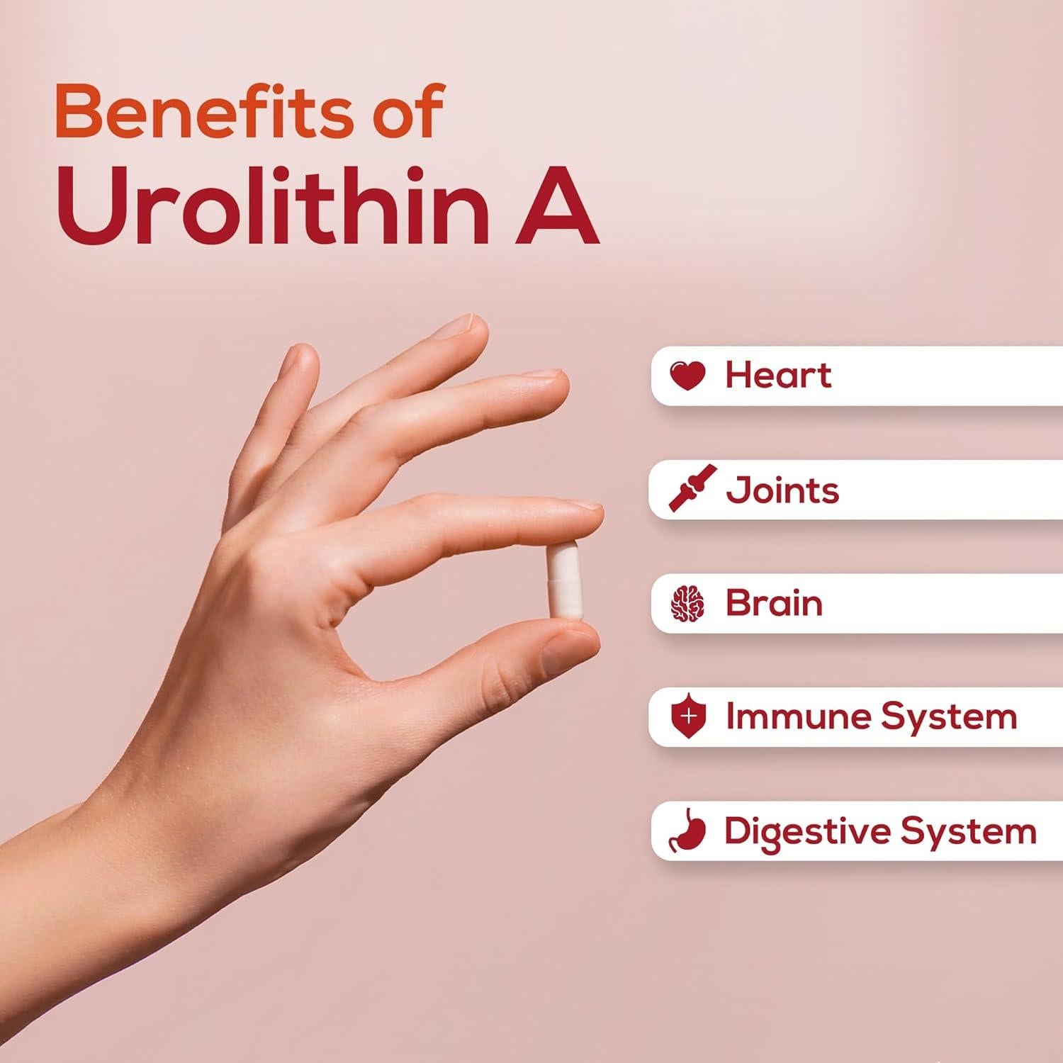 Suplemento Urolitina A Harmonify 1000 mg - 30 Cápsulas