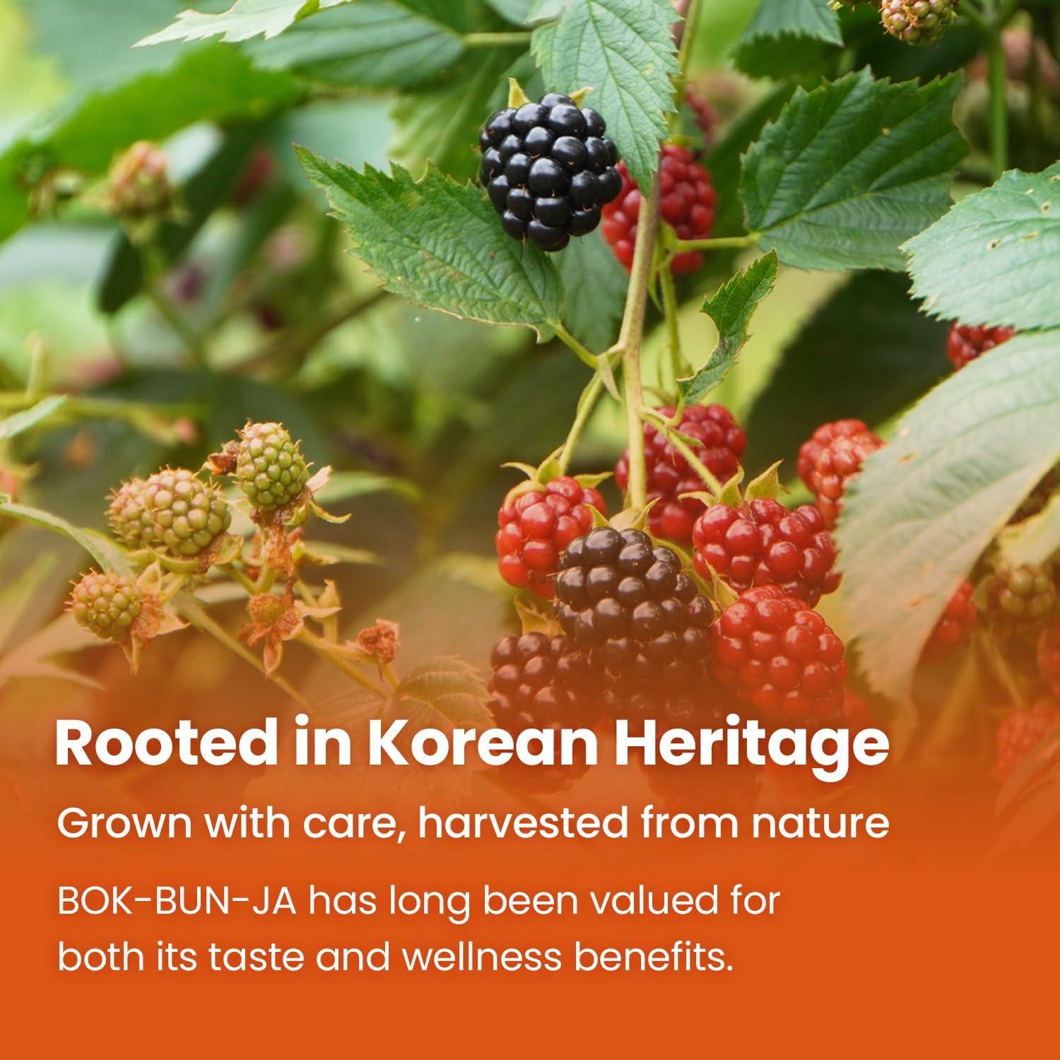 Aceite de Semilla de Mora Negra Coreana K-Berry Kim's Table 30 Cápsulas