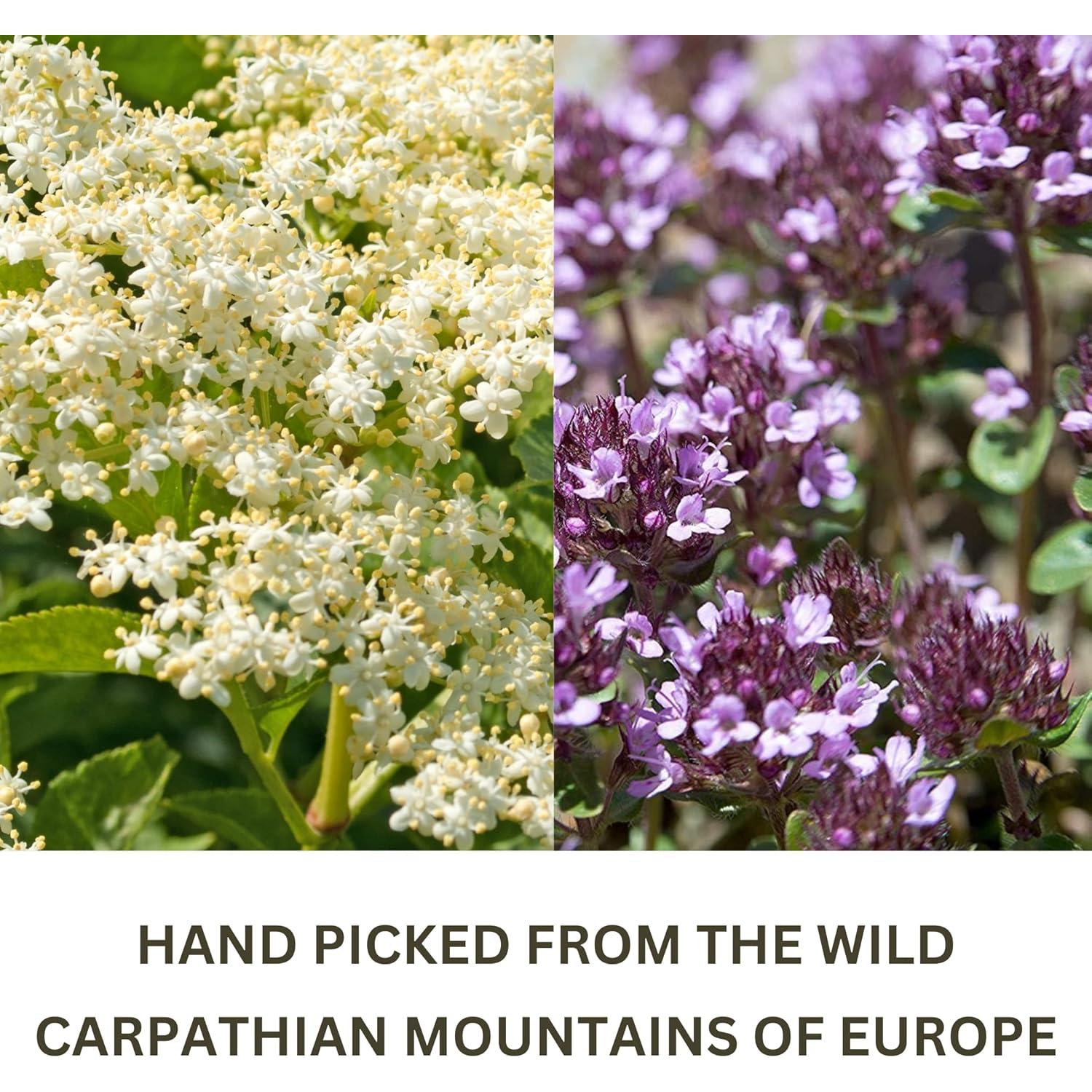 Té Orgánico de Flor de Saúco y Tomillo - 50 Porciones