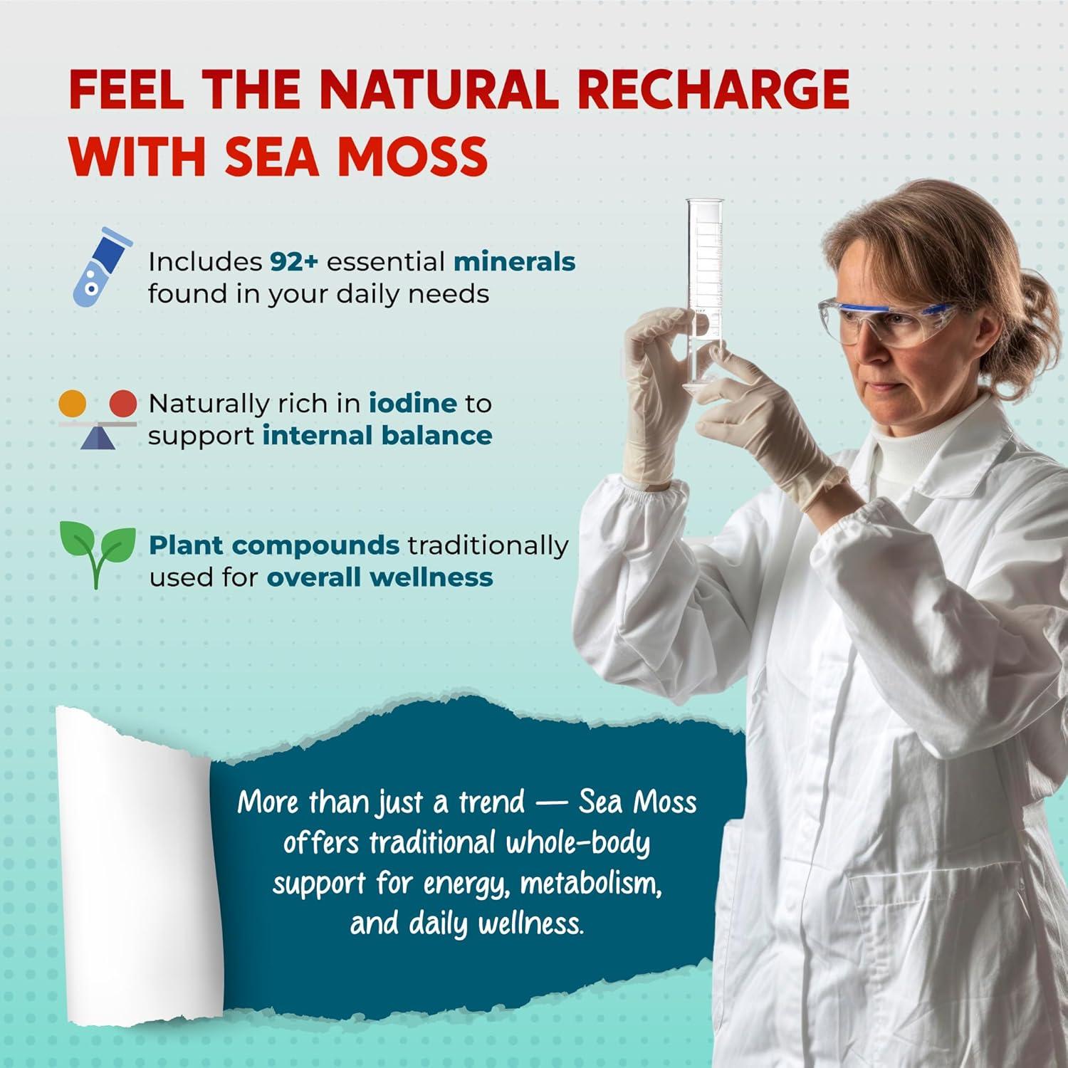 Suplemento Musgo Marino PeakPury 150 Cápsulas Veganas