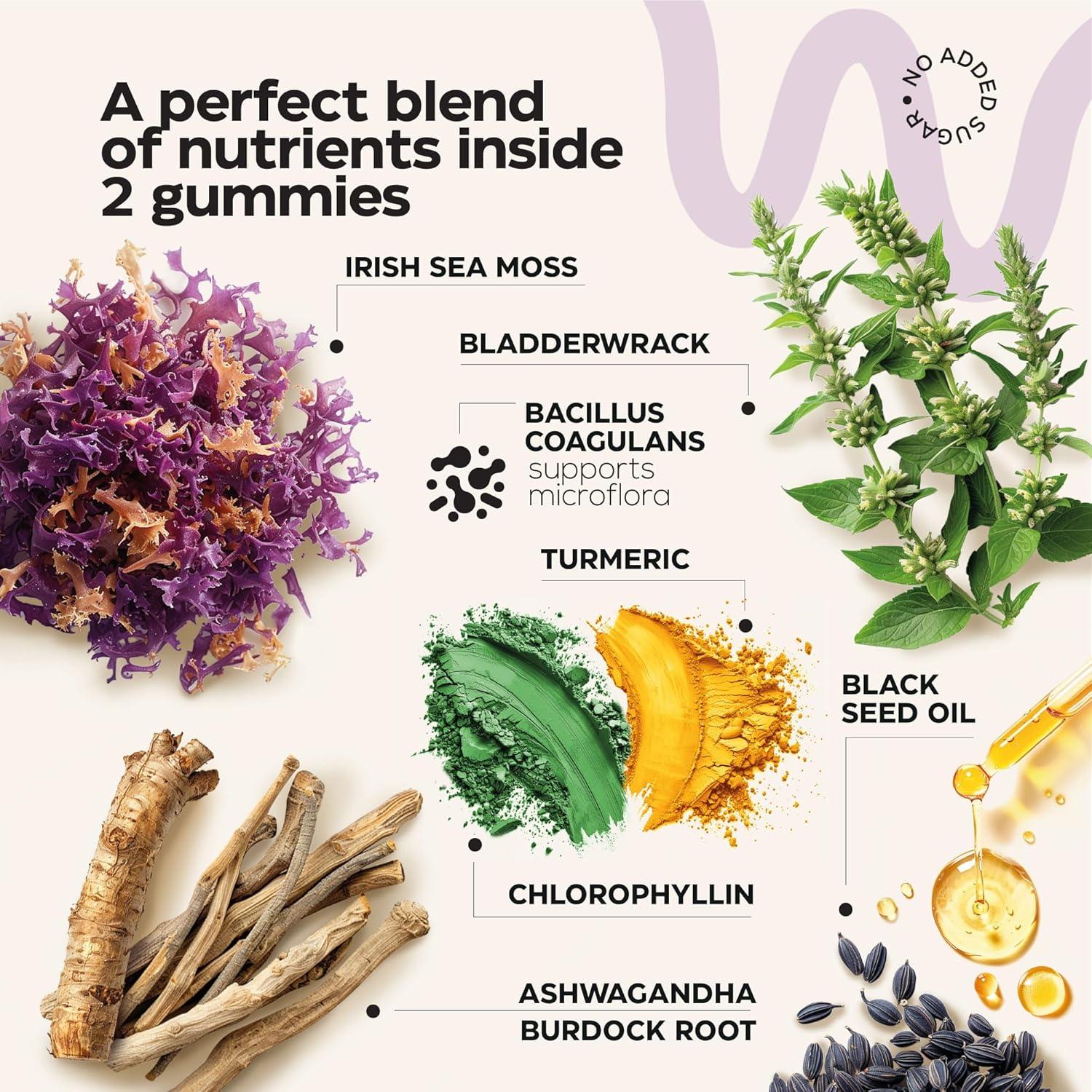 Gomitas de Musgo Marino Wellneum 3000 mg 60 Conteo Veganas