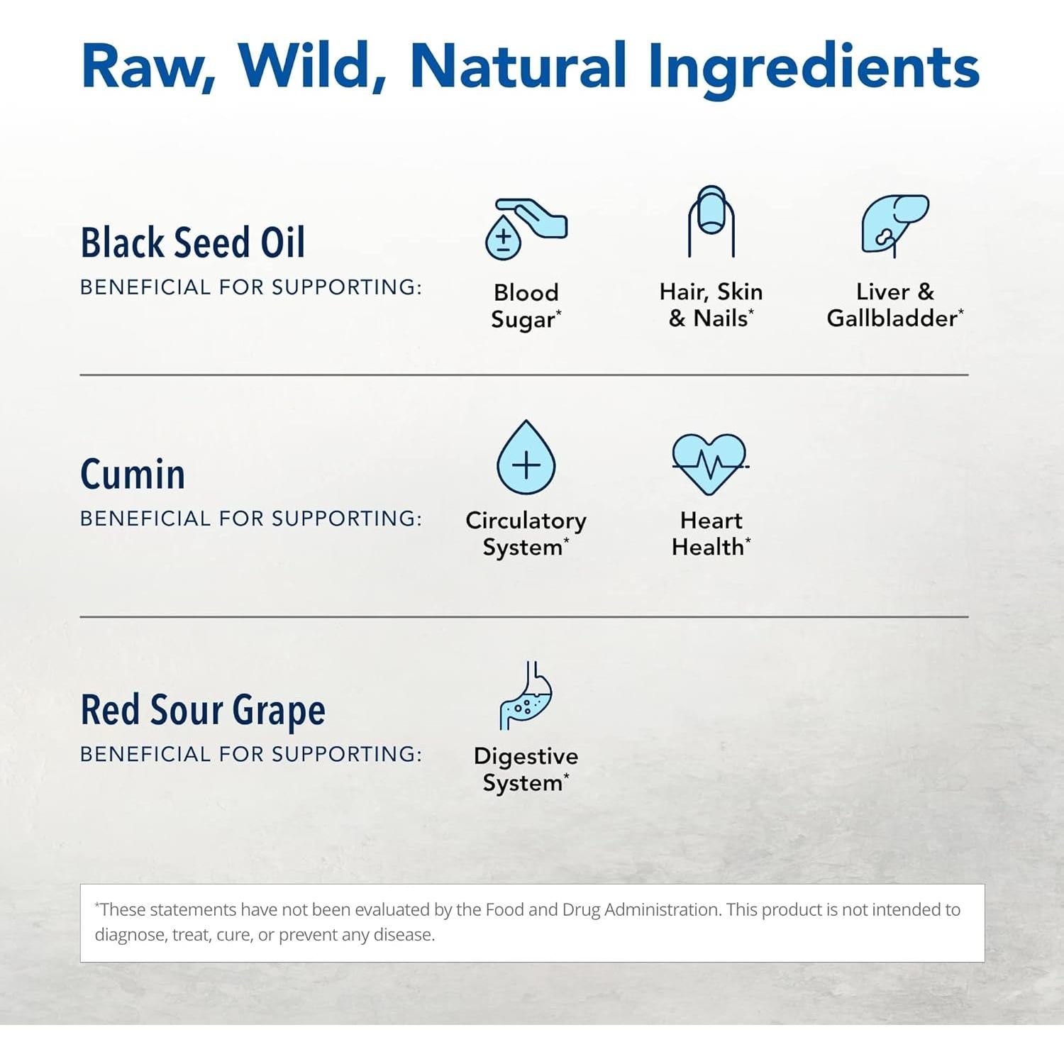 Suplemento de Semilla Negra Plus Hierba y Especia 90 Cápsulas