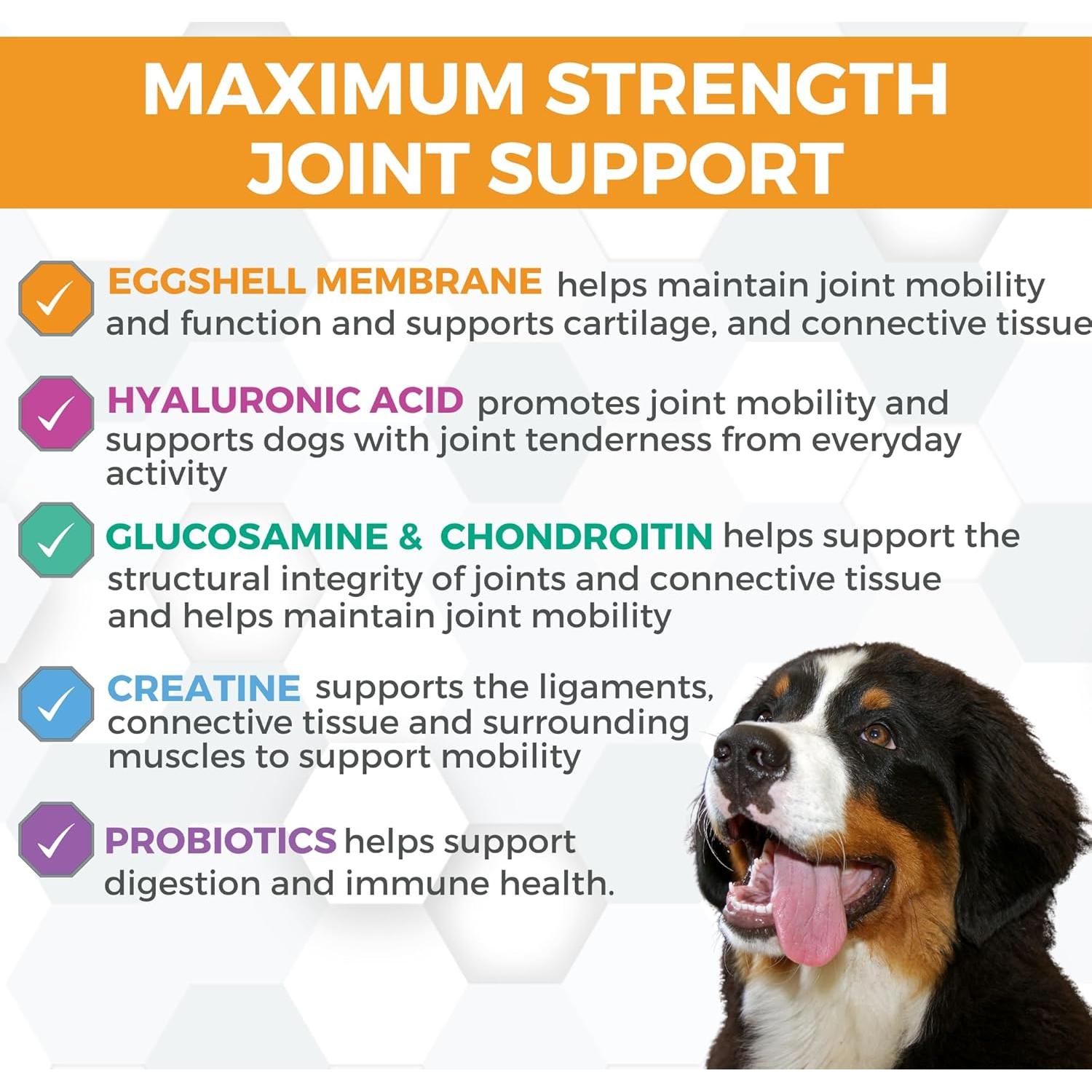 Suplemento Nootie ProgilityMAX para Perros Grandes 60 Masticables