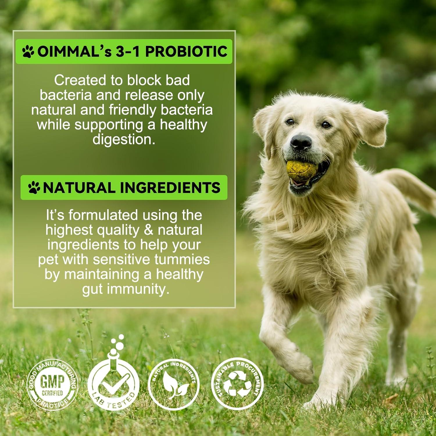 Probioticos 3-en-1 para Perros Writheion 60 ml Digestión