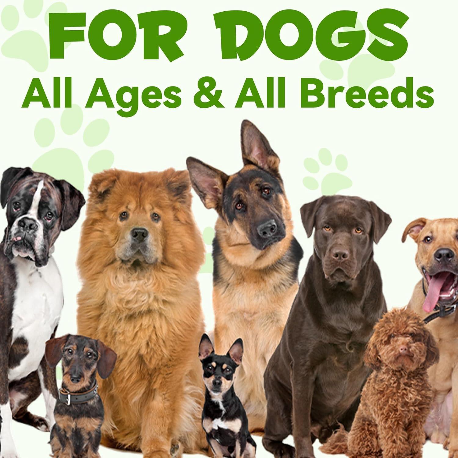 Probioticos 3-en-1 para Perros Writheion 60 ml Digestión