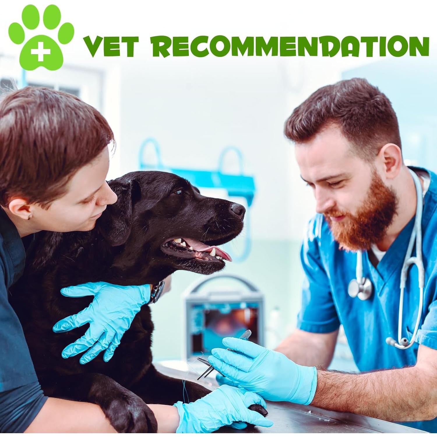 Probioticos 3-en-1 para Perros Writheion 60 ml Digestión