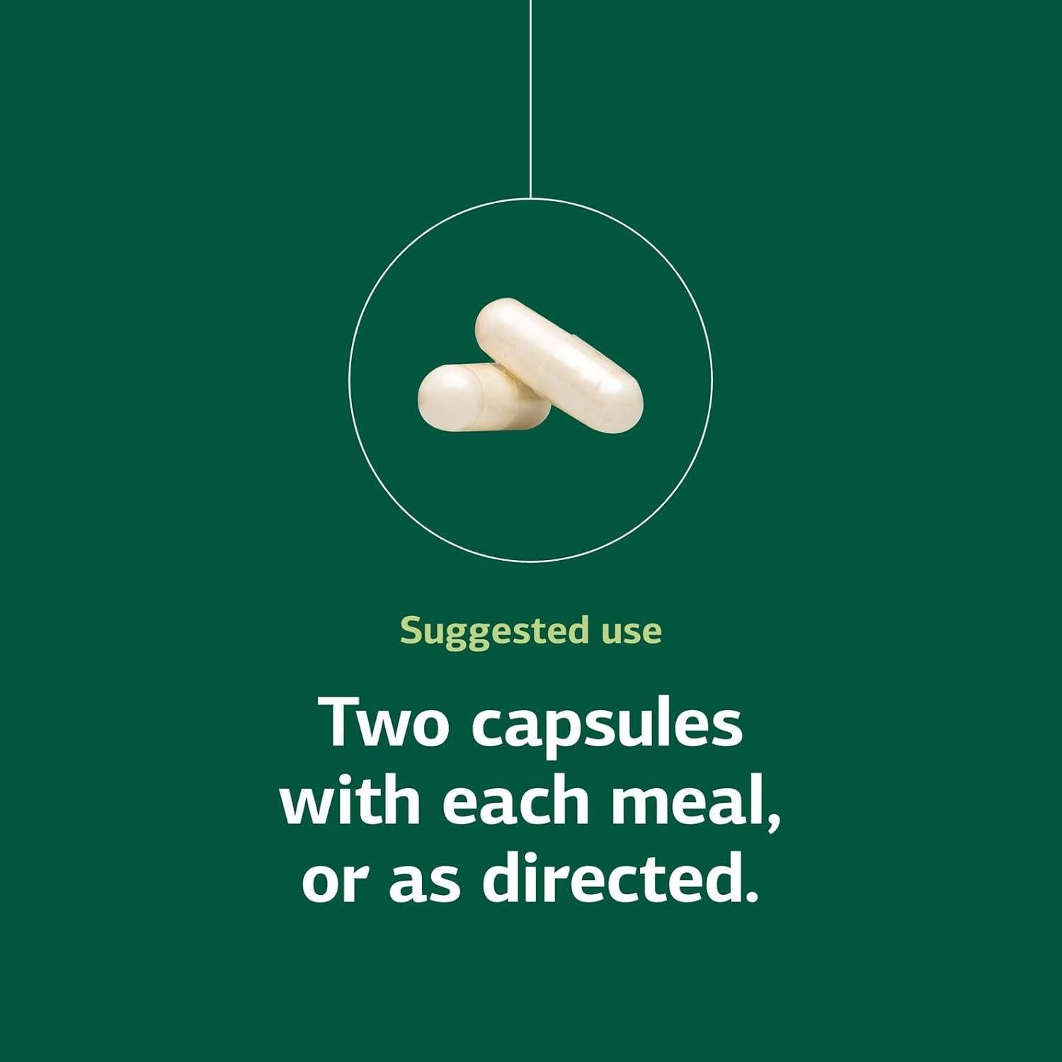 Suplemento Digestivo Standard Process Lact-ENZ 90 Cápsulas