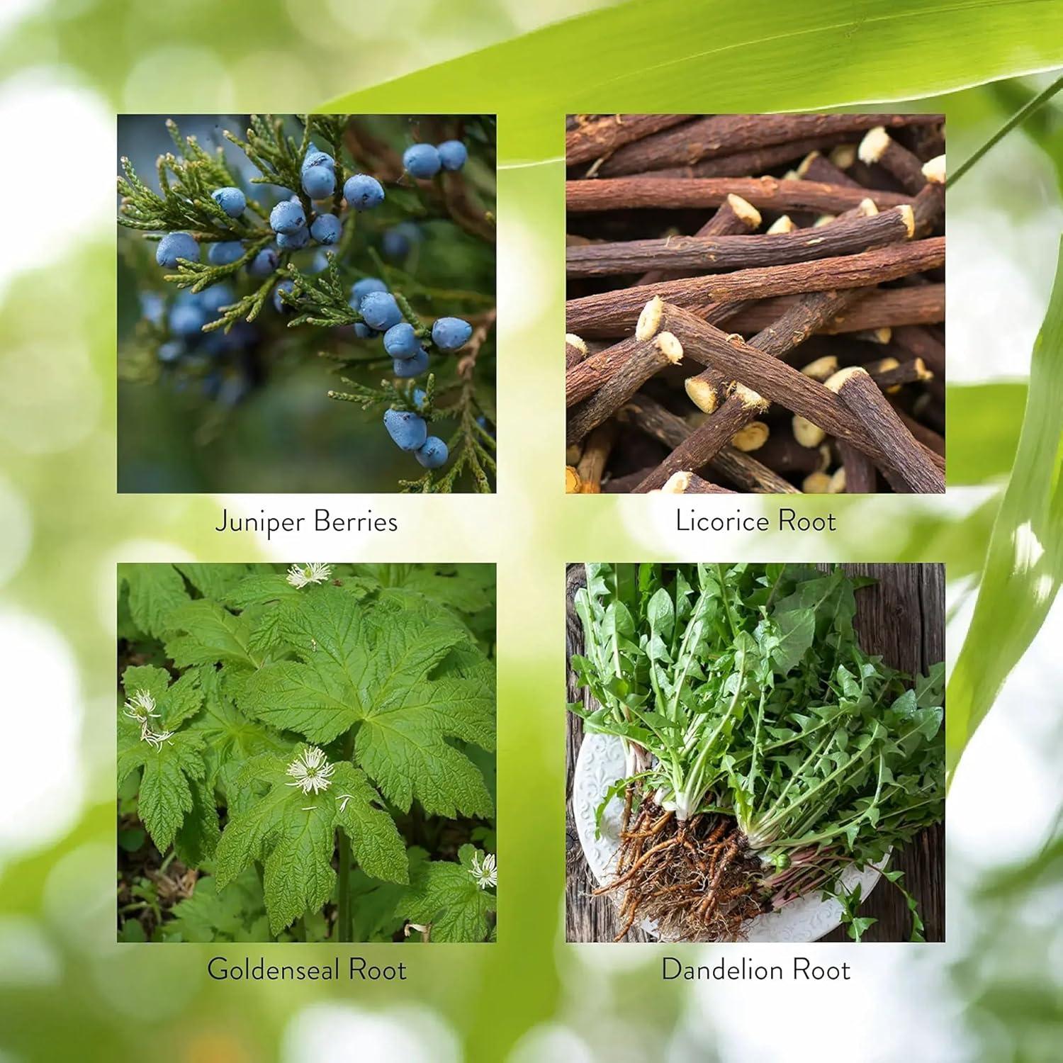 Pro-Páncreas Nature's Sunshine 100 Cápsulas Digestión Inmunidad