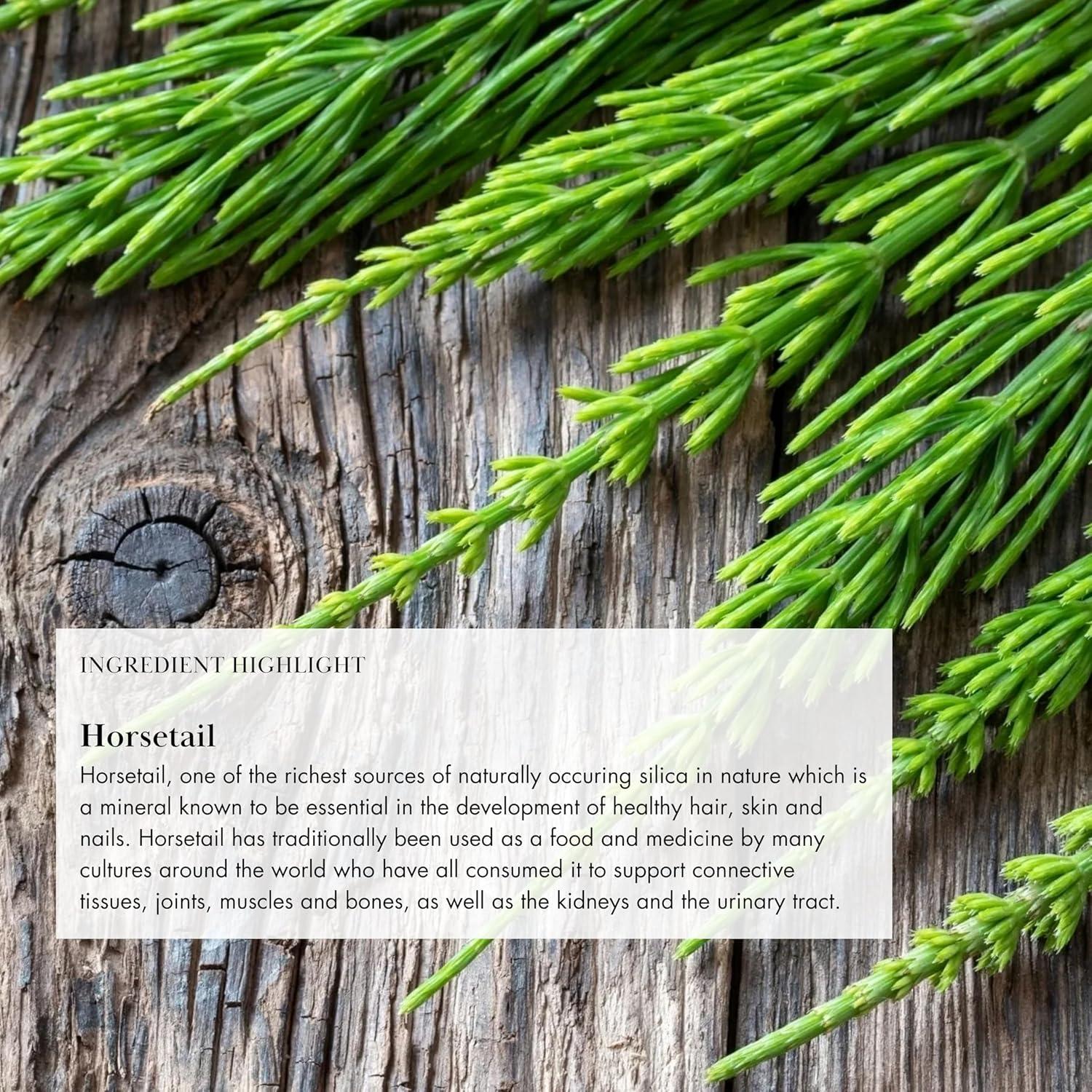 Polvo Aumentador de Colágeno Vegano Anima Mundi 113g - Chai Rosa Sucio