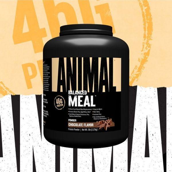 Animal Meal - Batido de Proteína Chocolate 2.27 kg Universal Nutrition
