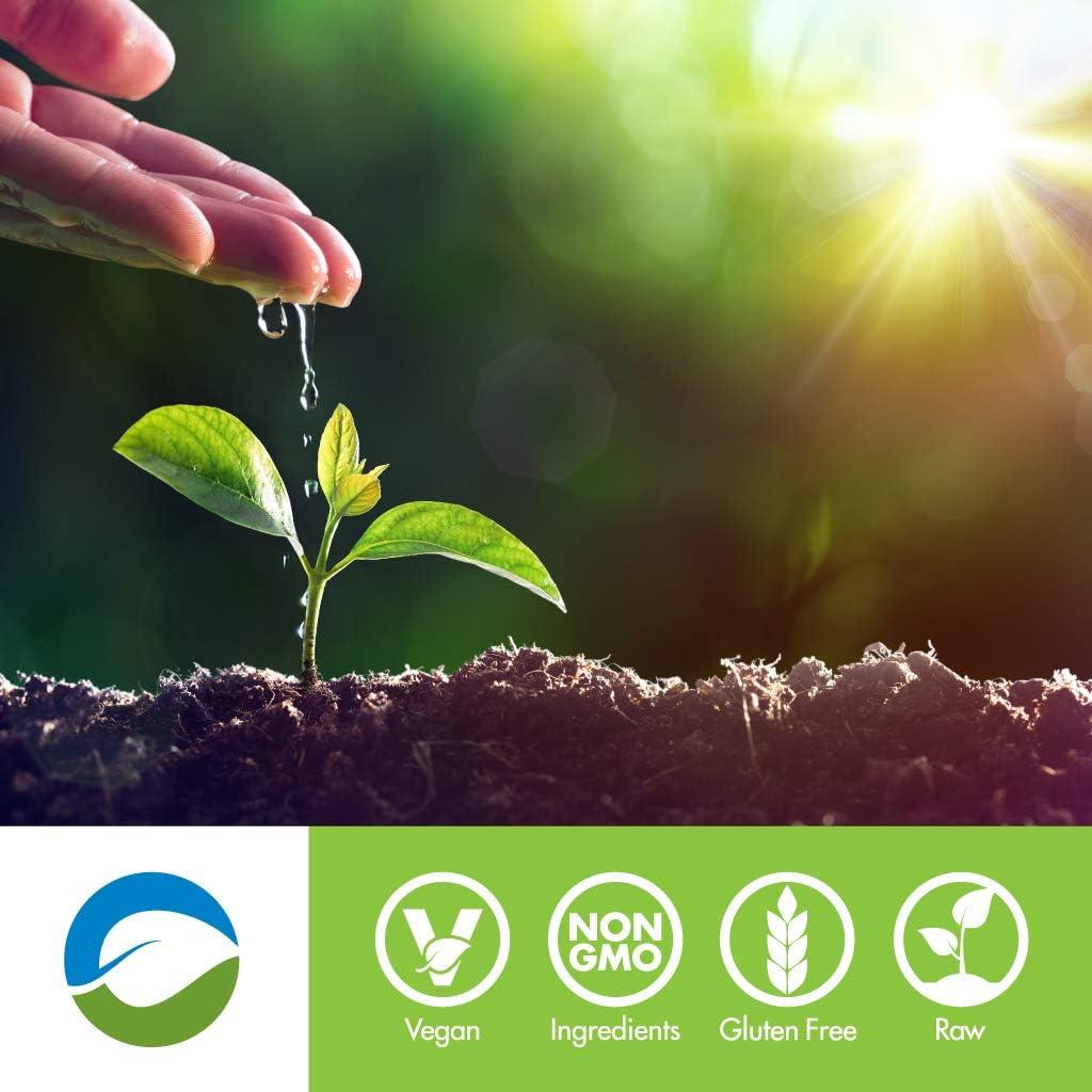 Rawfusion Proteína Vegana Chocolate Natural 0.91kg 21g Proteína