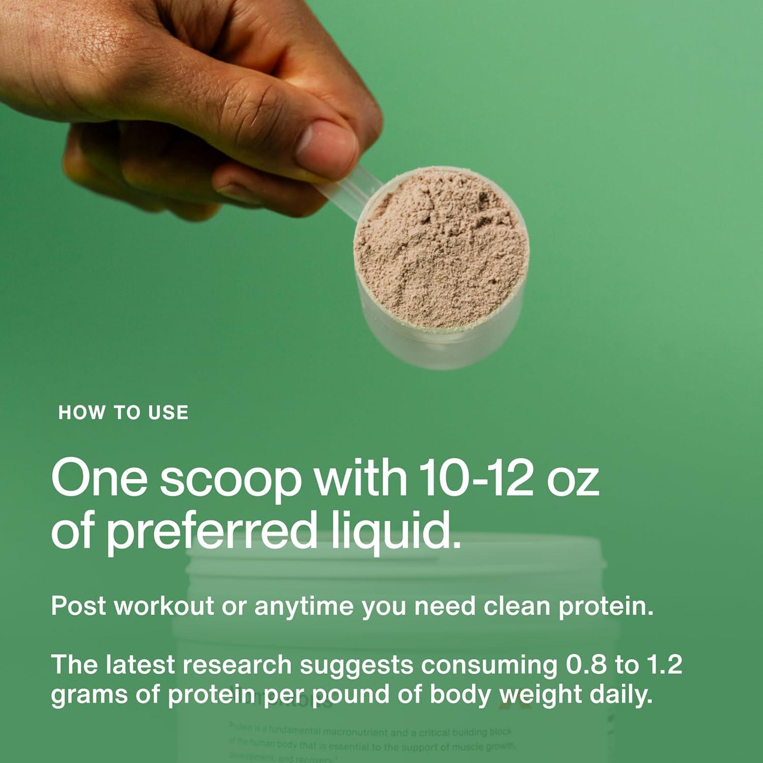 Proteína de Suero Momentous 20g - Chocolate con Menta - Sin Gluten