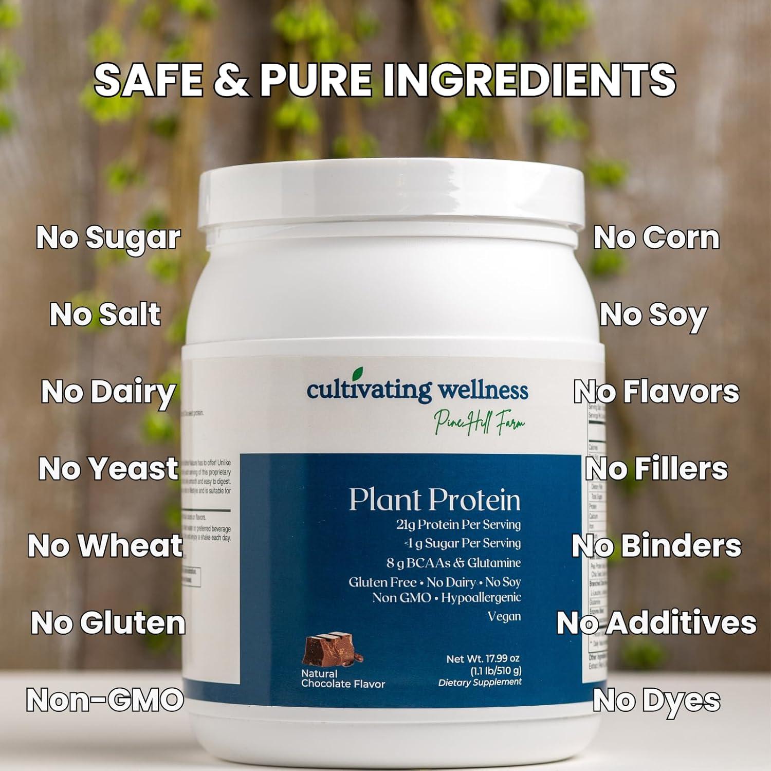 Proteína Vegetal en Polvo Chocolate 567g Reliance Supplements