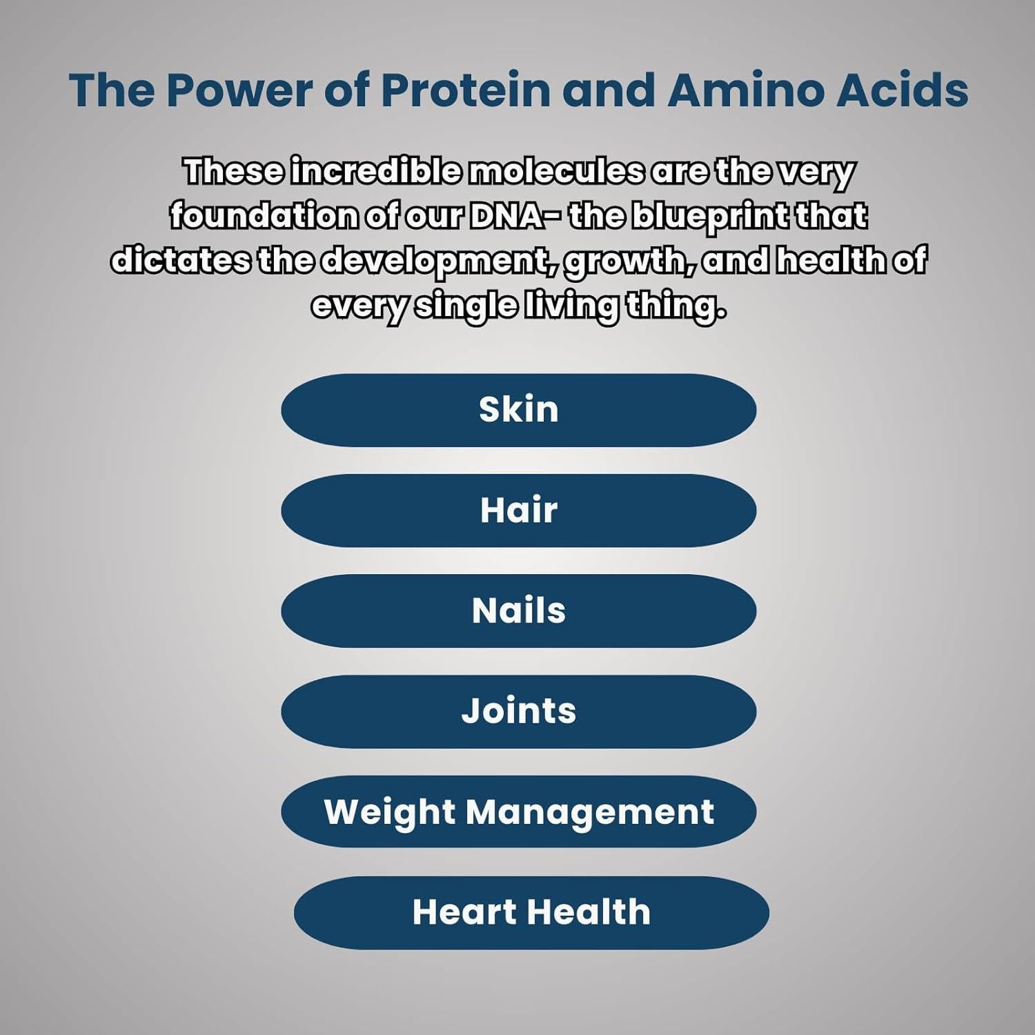 Proteína Vegetal en Polvo Chocolate 567g Reliance Supplements