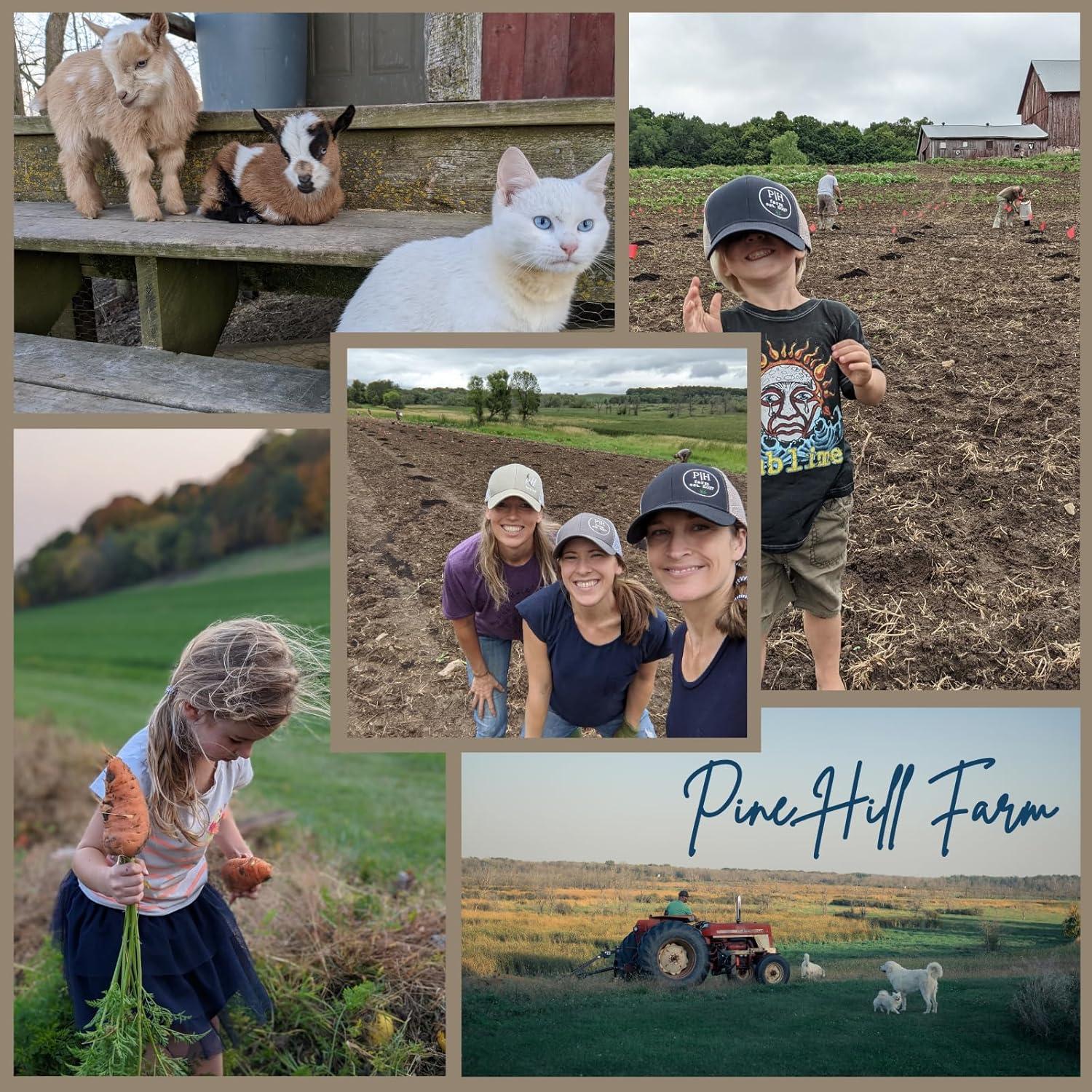 Proteína Vegetal en Polvo Chocolate 567g Reliance Supplements