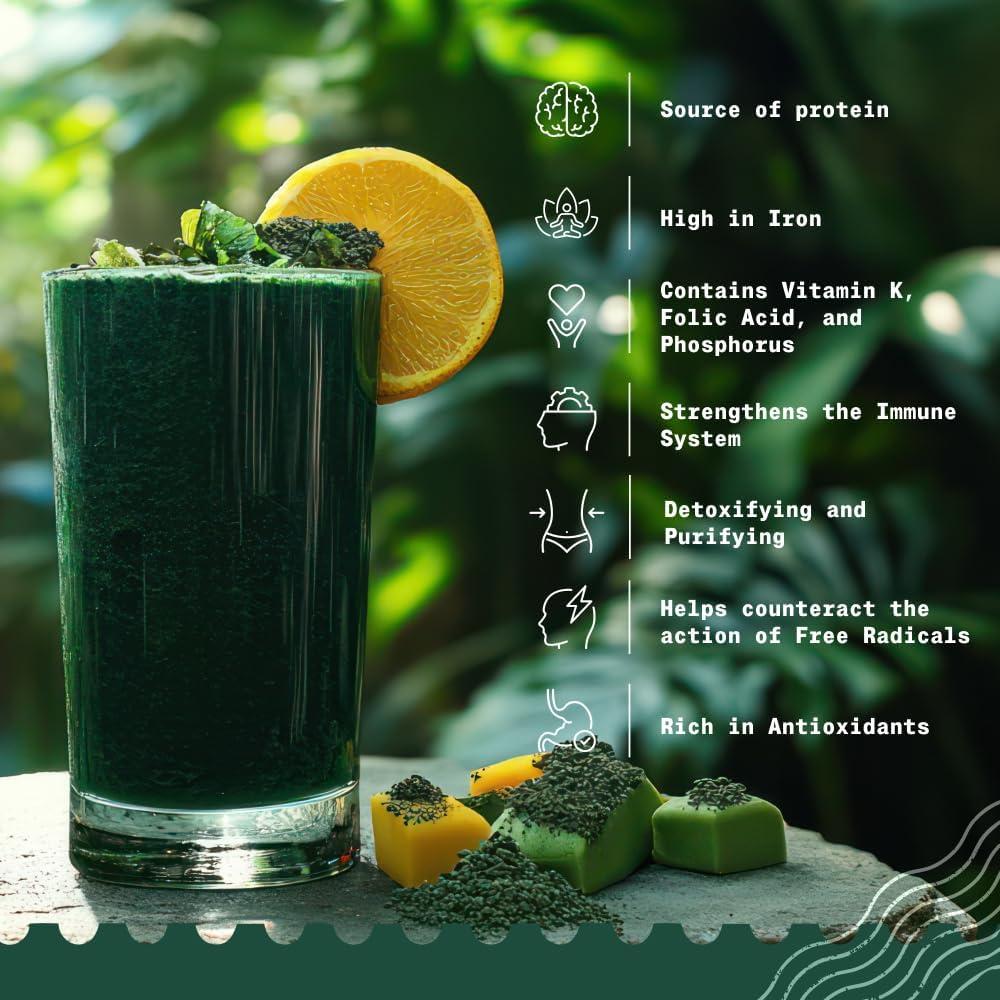 Polvo de Espirulina Orgánica NaturaleBio 227 g - Vegano y Puro