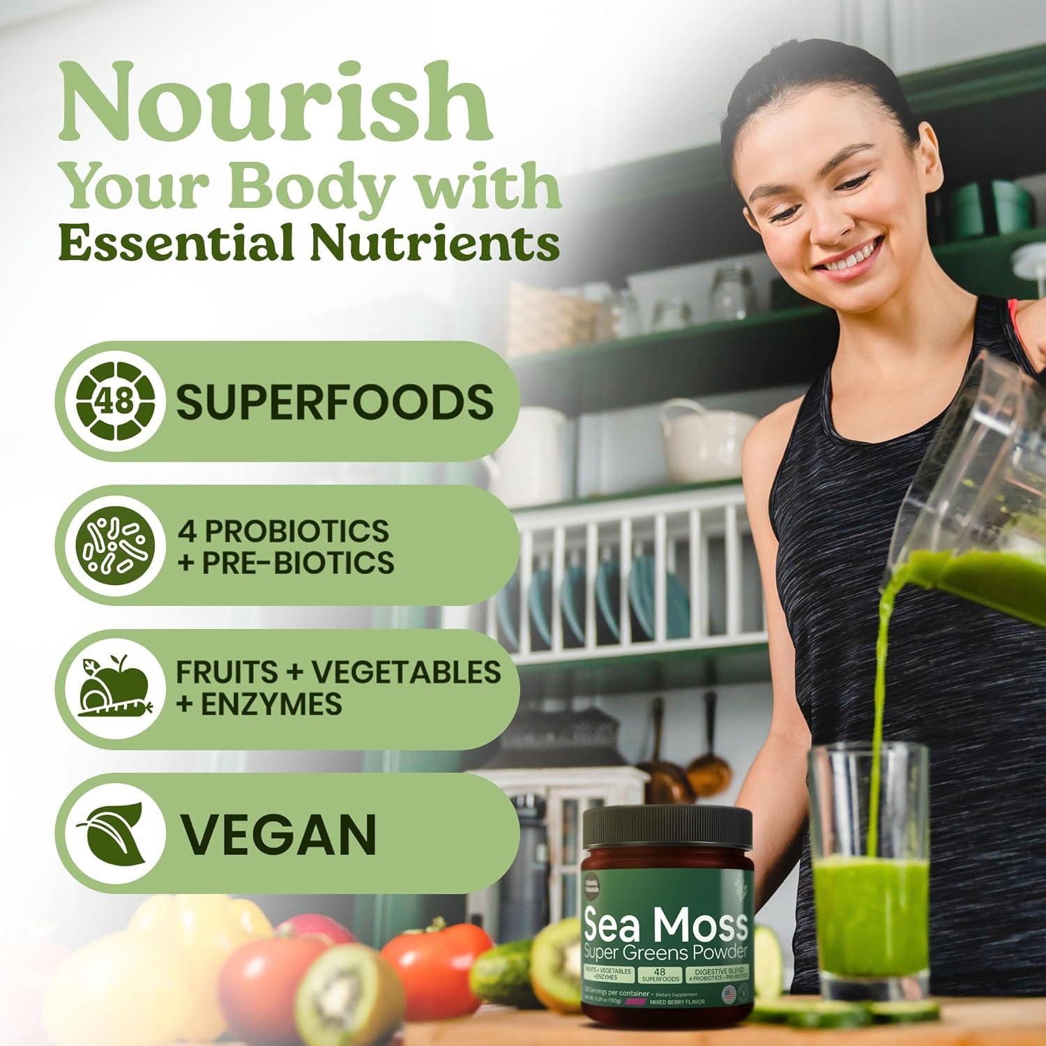 Polvo Superalimento Verde Atlantic Naturals 209g - 12 Verduras, 15 Frutas, Probioticos