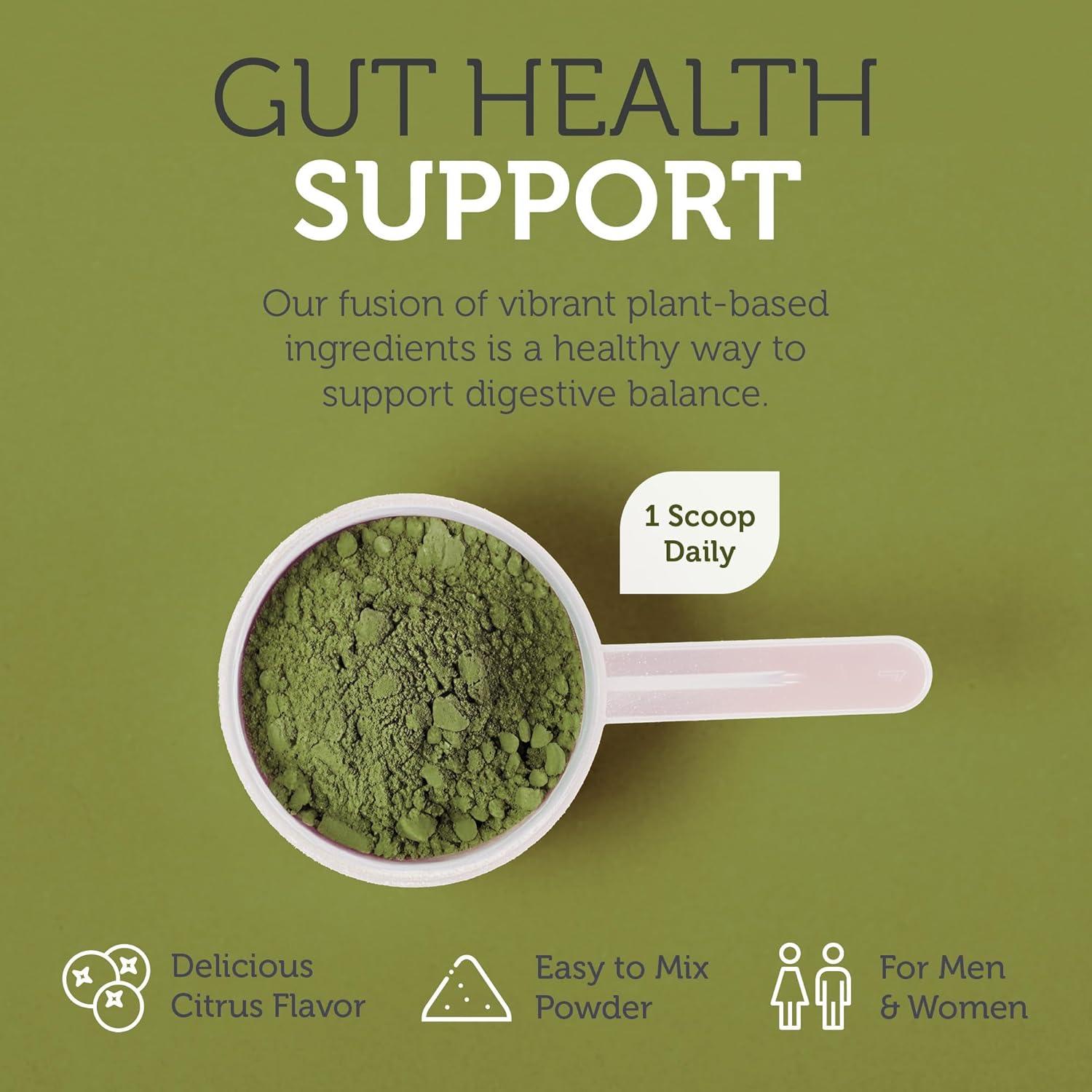 Zahler Core Greens Polvo Superalimento Verde Orgánico 439g