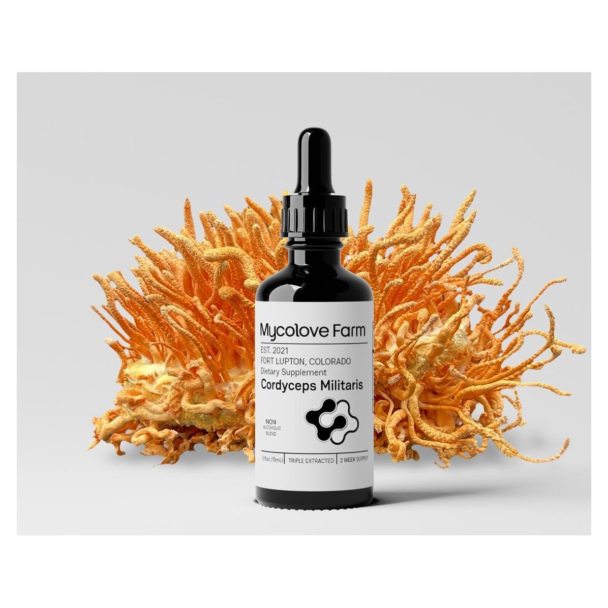 Tintura Orgánica de Cordyceps Militaris y Ginseng Siberiano Mycolove