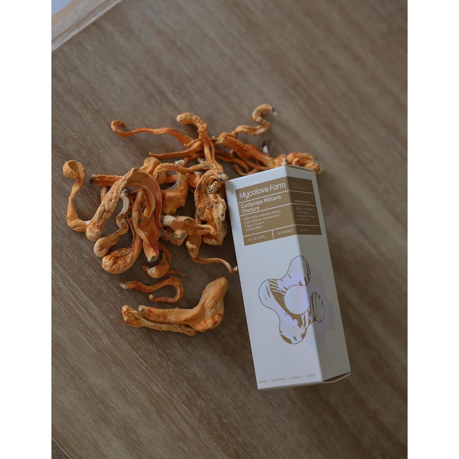 Tintura Orgánica de Cordyceps Militaris y Ginseng Siberiano Mycolove