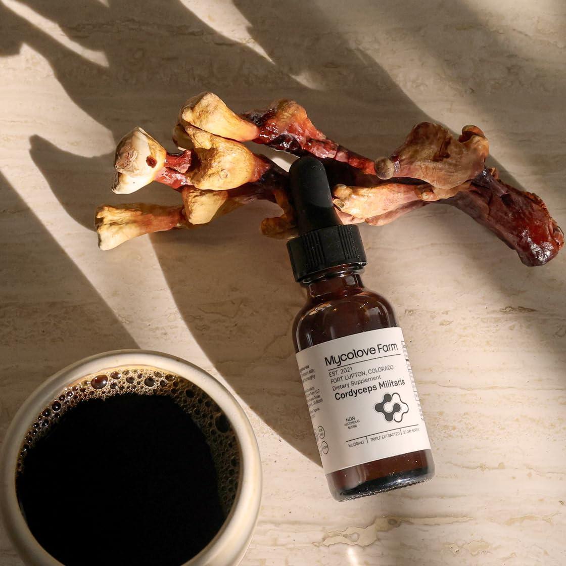 Tintura Orgánica de Cordyceps Militaris y Ginseng Siberiano Mycolove