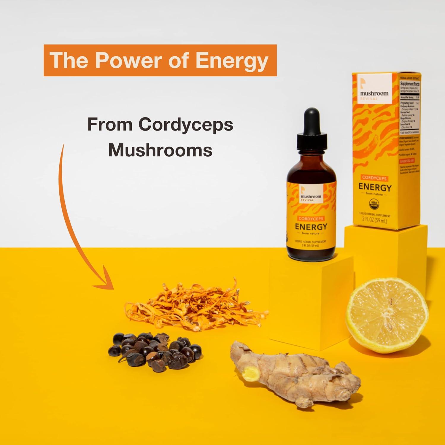 Tintura Energía Cordyceps Orgánica Mushroom Revival 59ml