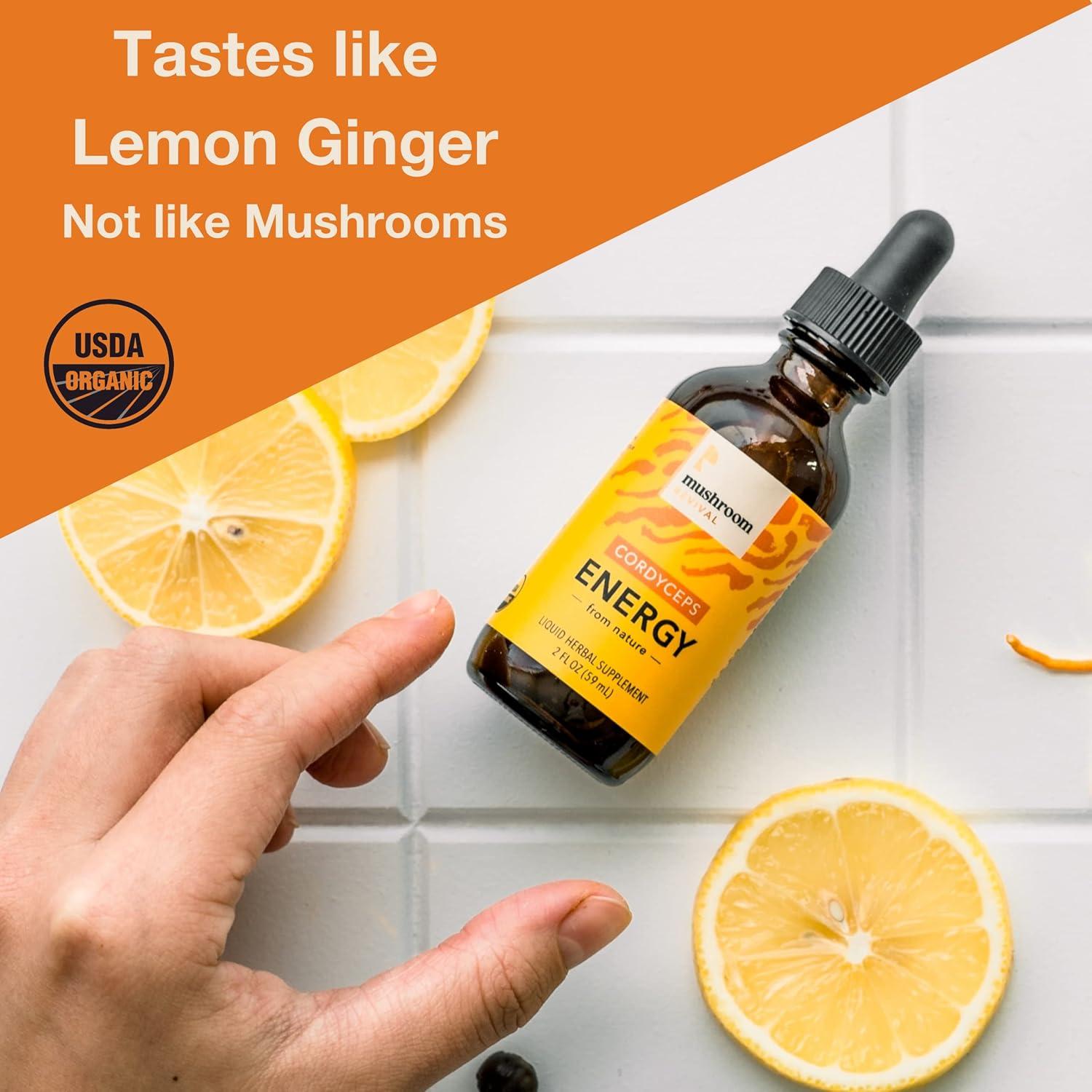 Tintura Energía Cordyceps Orgánica Mushroom Revival 59ml