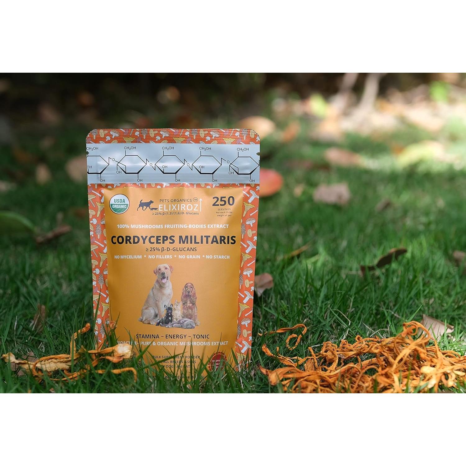 Cordyceps Militaris Pura >25% β-Glucanos 100g - Suplemento para Mascotas