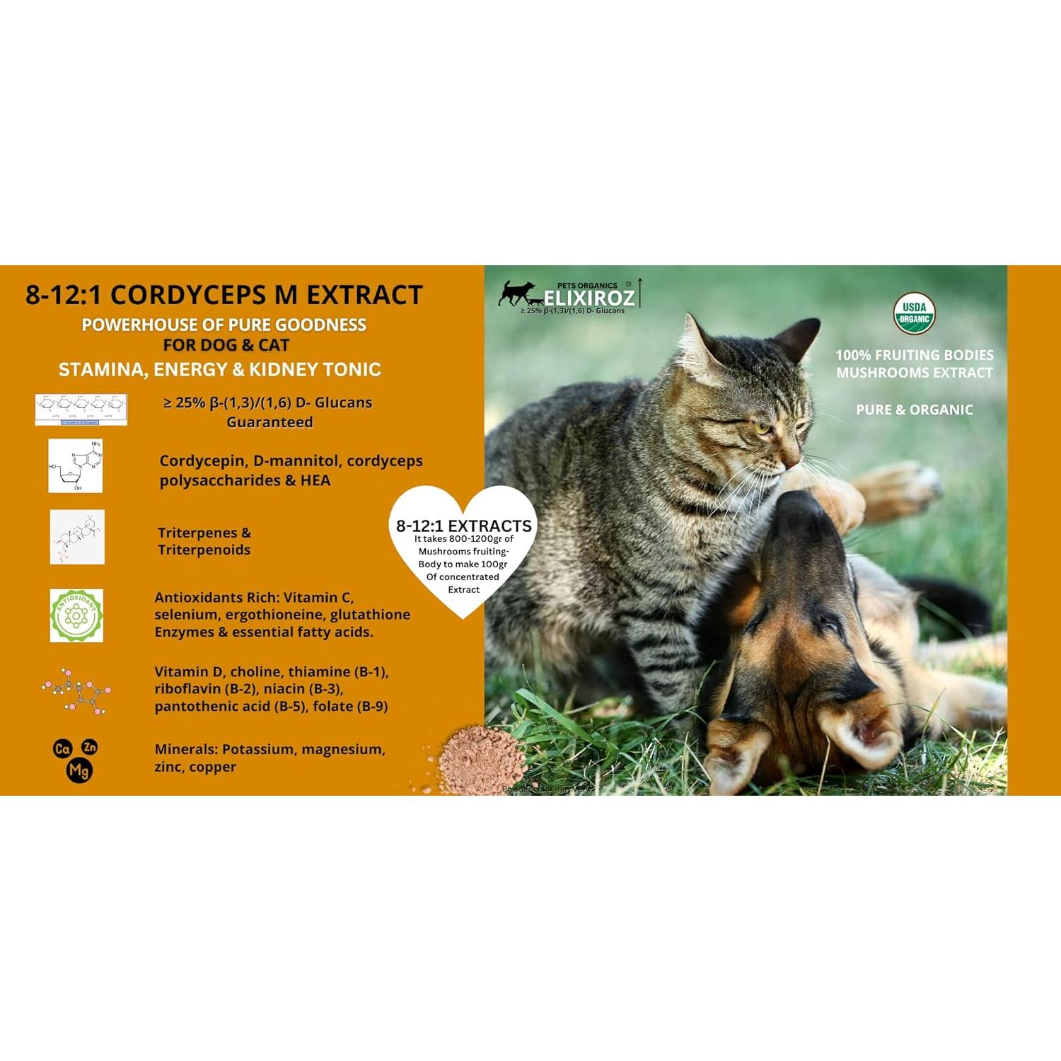 Cordyceps Militaris Pura >25% β-Glucanos 100g - Suplemento para Mascotas