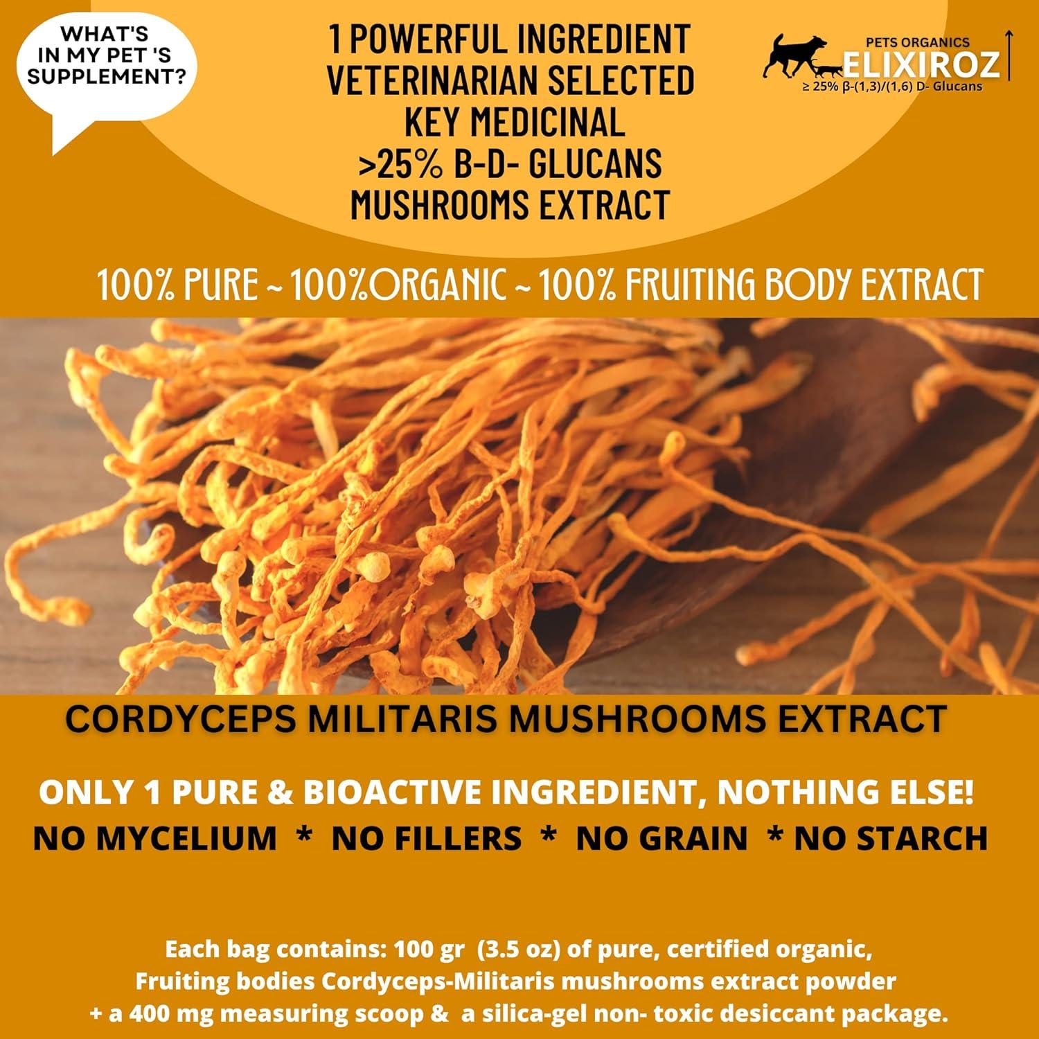 Cordyceps Militaris Pura >25% β-Glucanos 100g - Suplemento para Mascotas