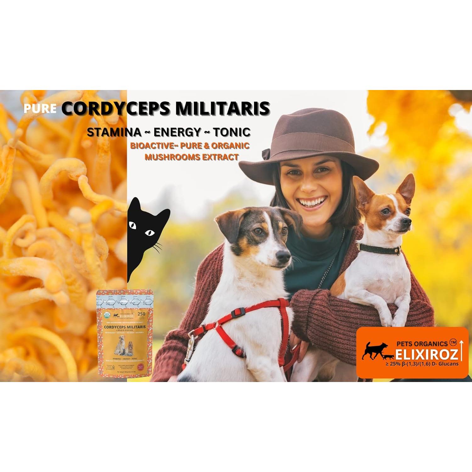 Cordyceps Militaris Pura >25% β-Glucanos 100g - Suplemento para Mascotas