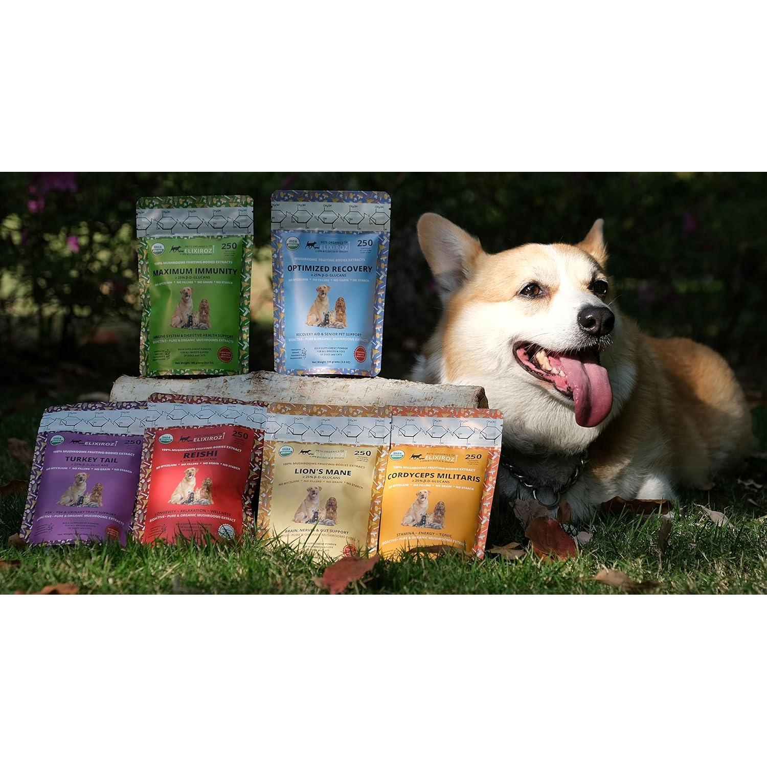 Cordyceps Militaris Pura >25% β-Glucanos 100g - Suplemento para Mascotas