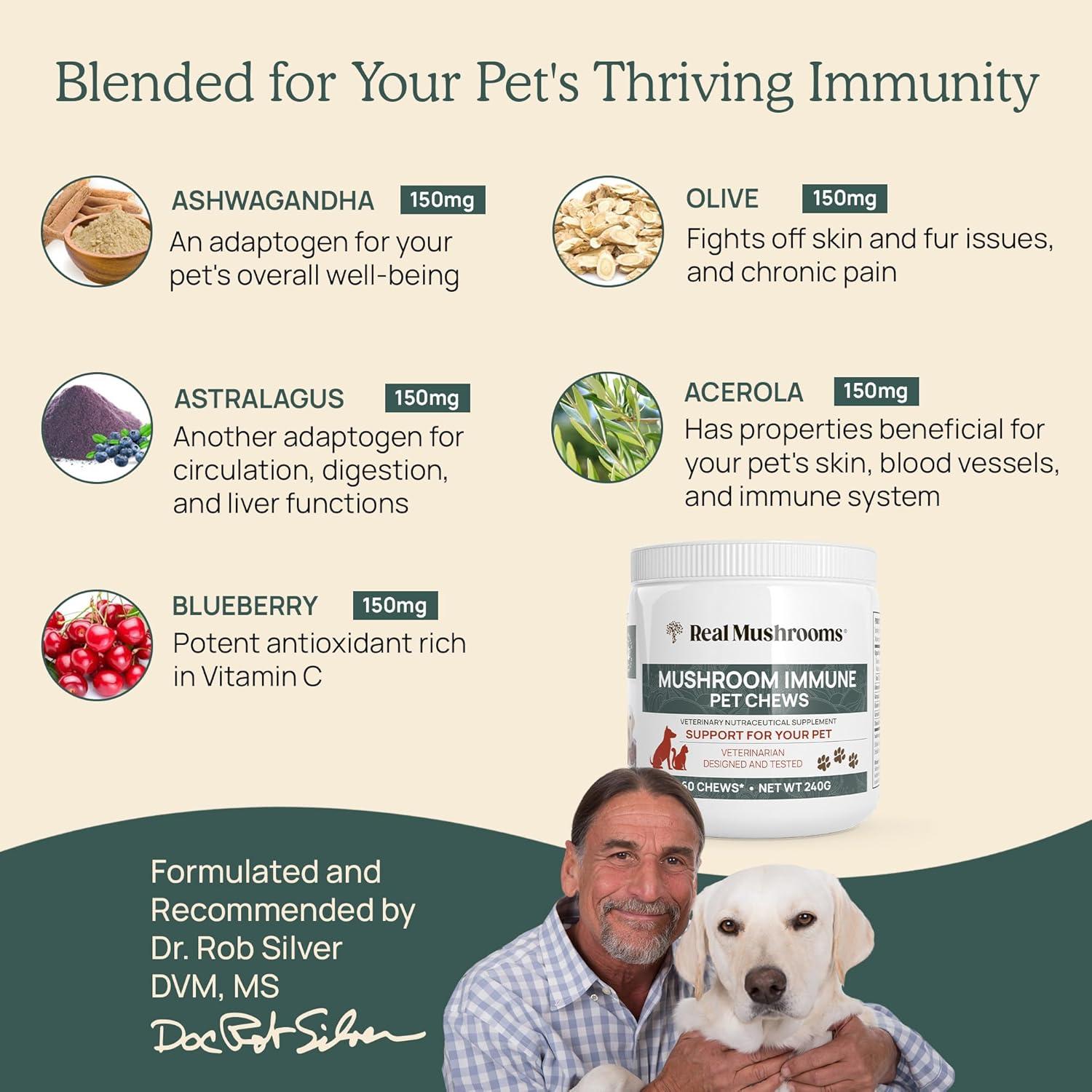 Suplemento de Hongos Cordyceps Reales 120 Cápsulas + 60 Masticables