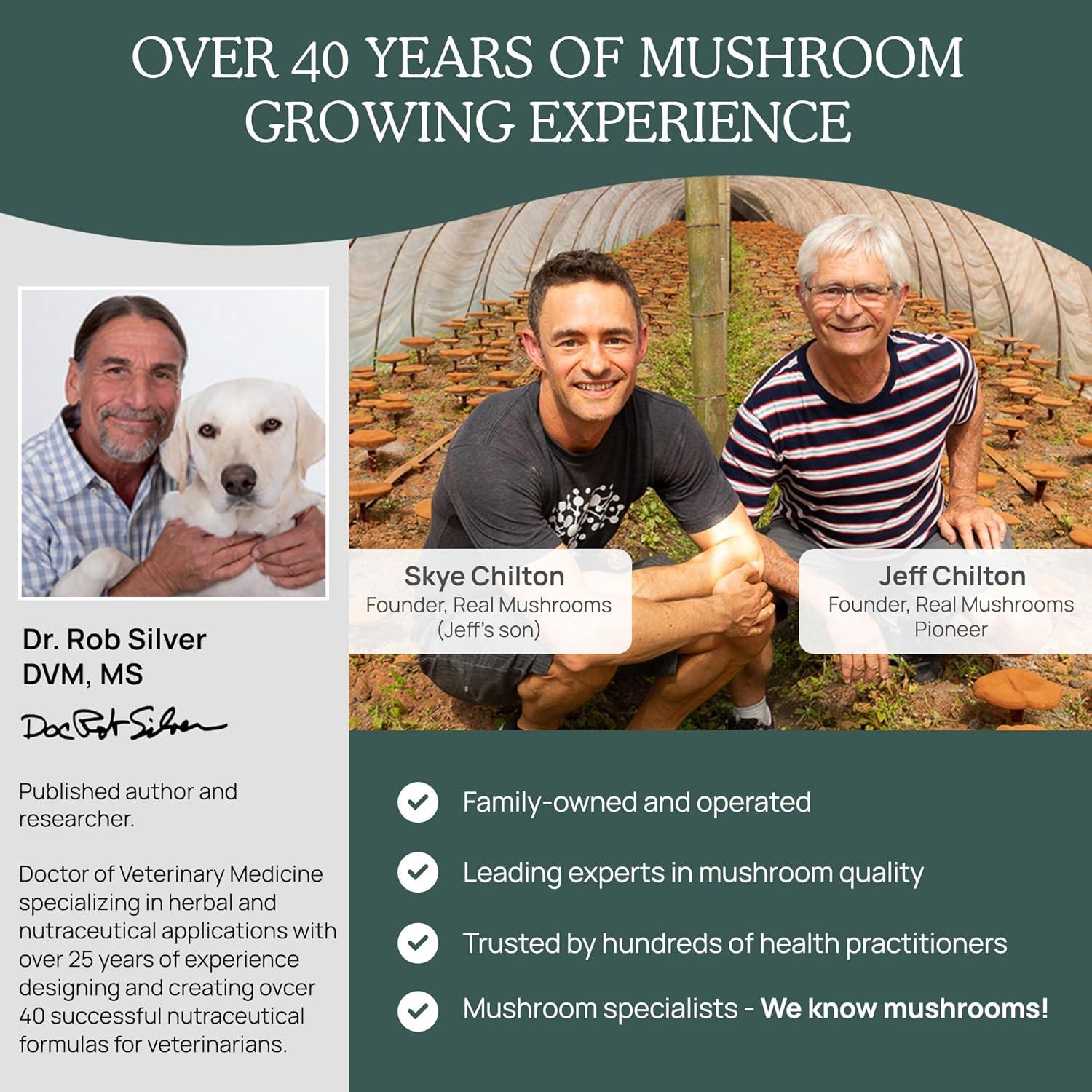 Suplemento de Hongos Cordyceps Reales 120 Cápsulas + 60 Masticables