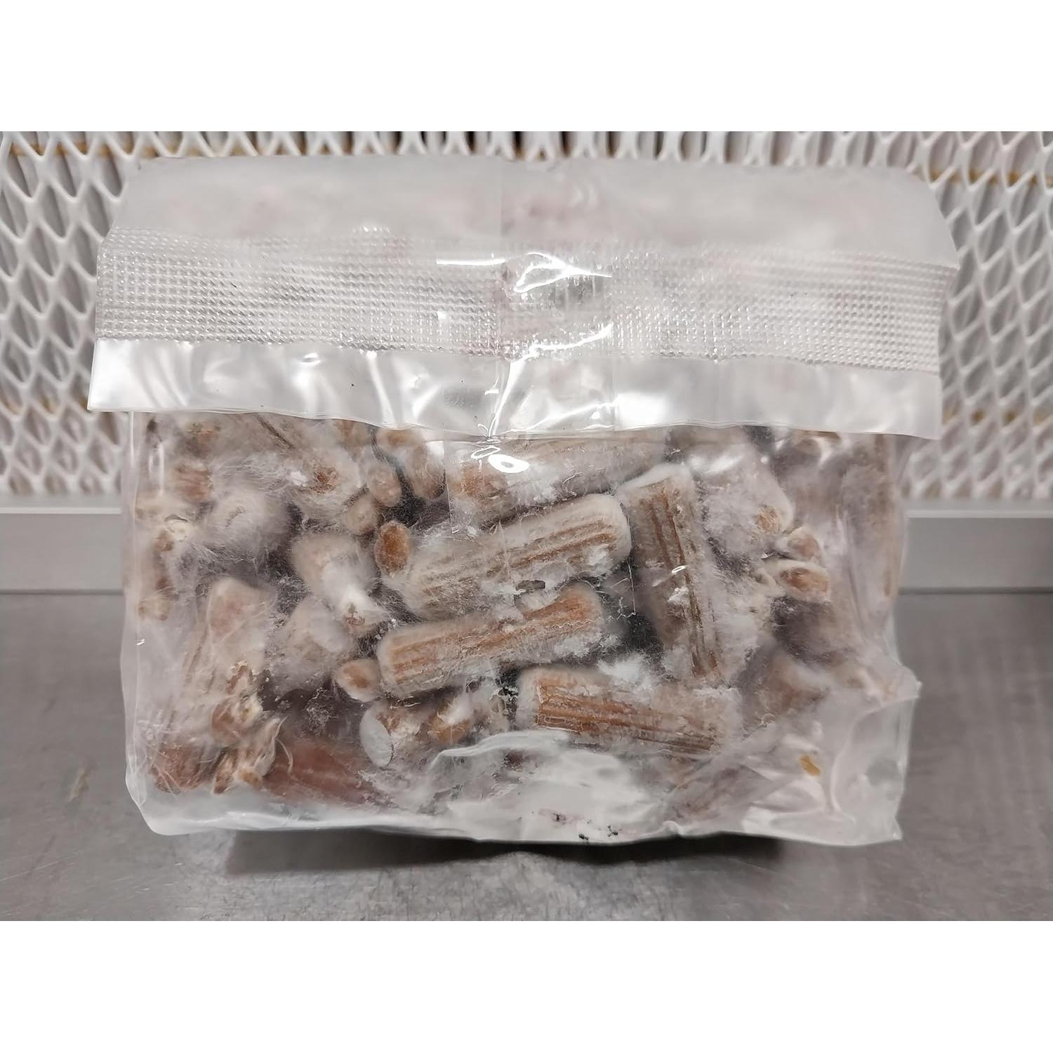 100 Tapones de Hongos Ostra Rosa Liquid Fungi para Cultivar