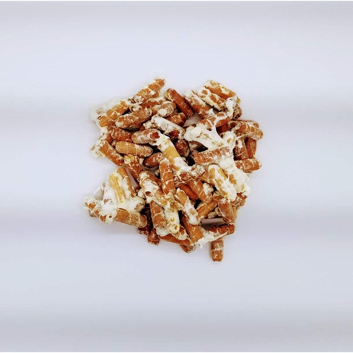 100 Clavos de Espora Champiñón Rey Ostra BetterFungi - Cultiva en Casa