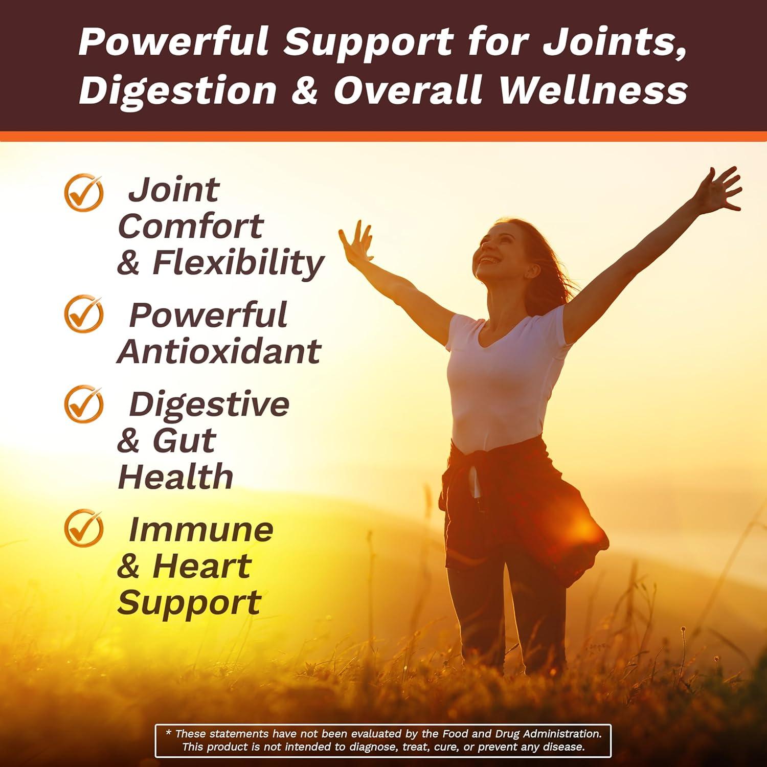 Suplemento de Cúrcuma Curcumina Life's Fortune 90 Cápsulas 2250mg