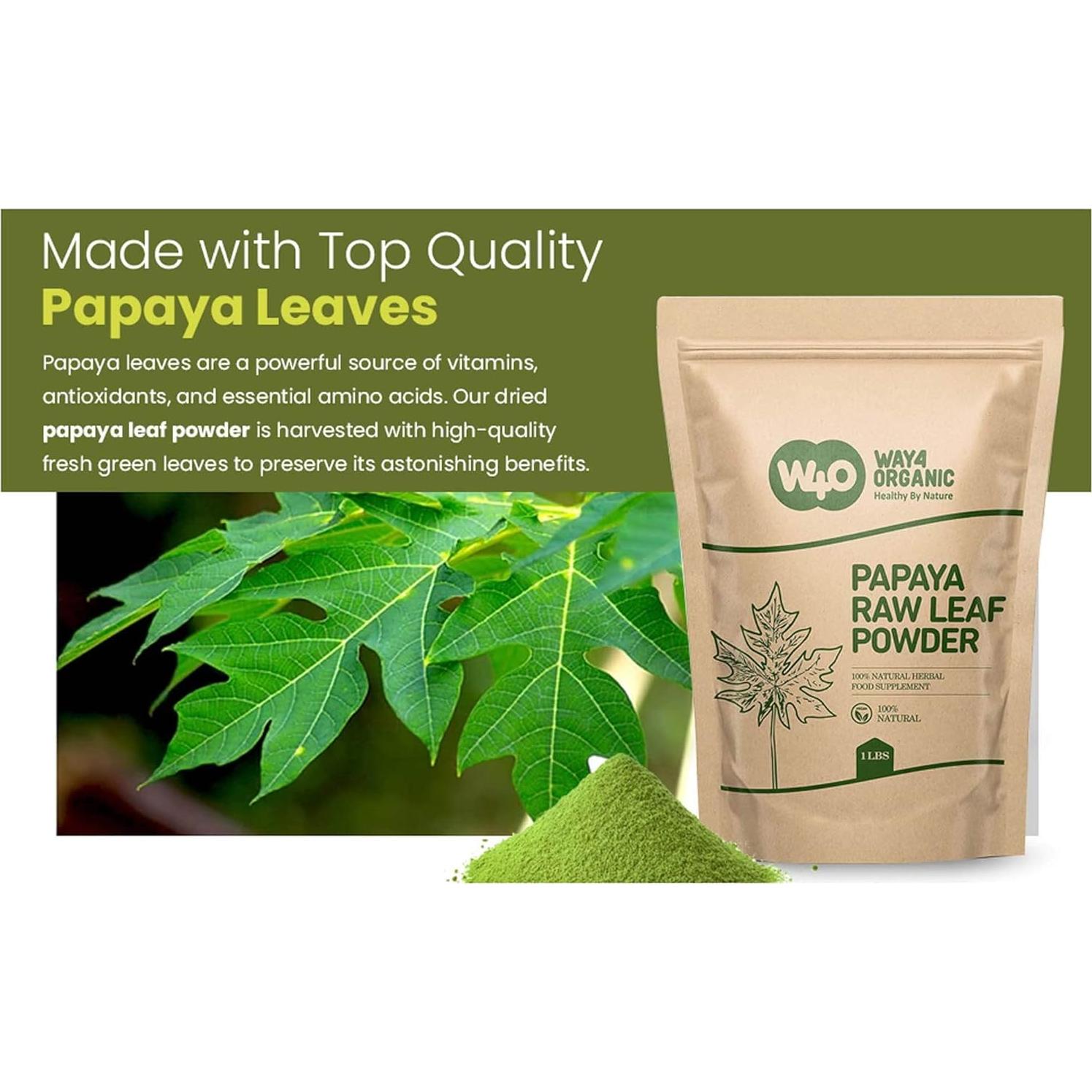 Polvo de Papaya 100g - Suplemento Digestivo Natural