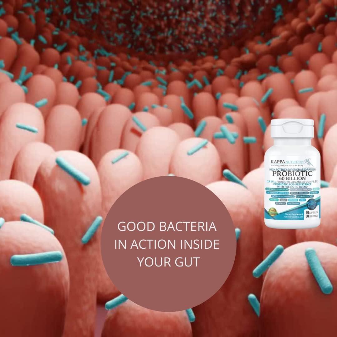Probiotico Kappa Nutrition 60 Mil Millones CFU 14 en 1 60 Capsulas